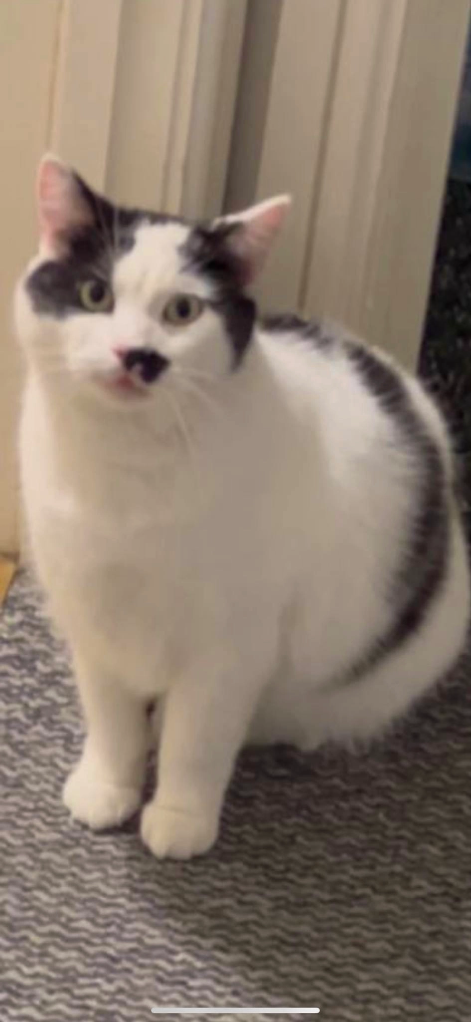 Muris - Fontwell Road, Burton upon Trent