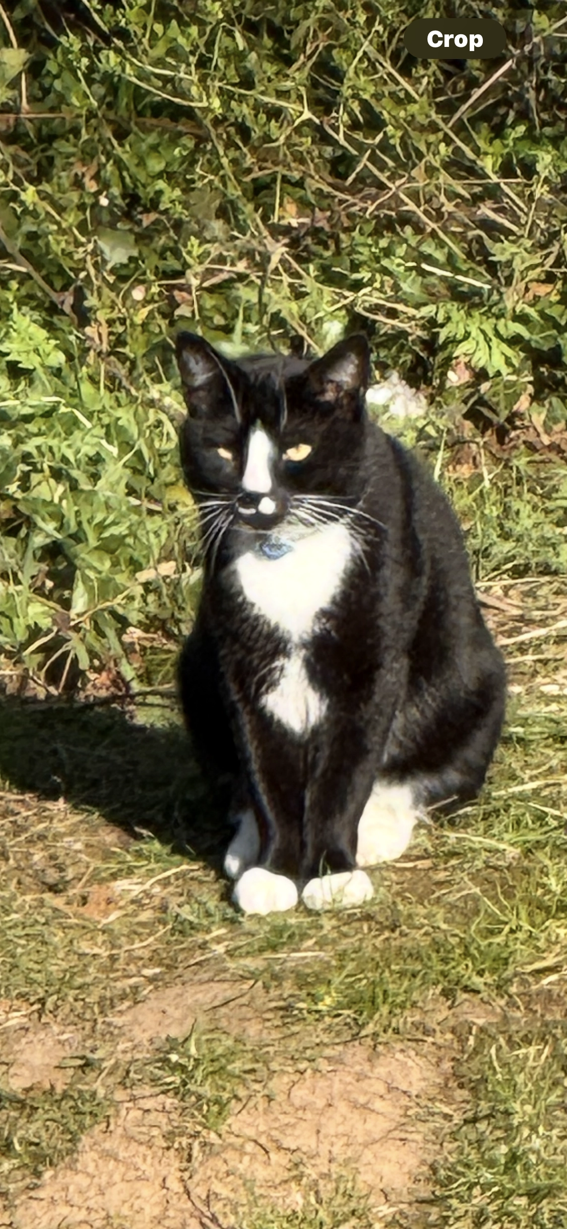 Leroy Poulton  - Copeland Avenue, Warwick