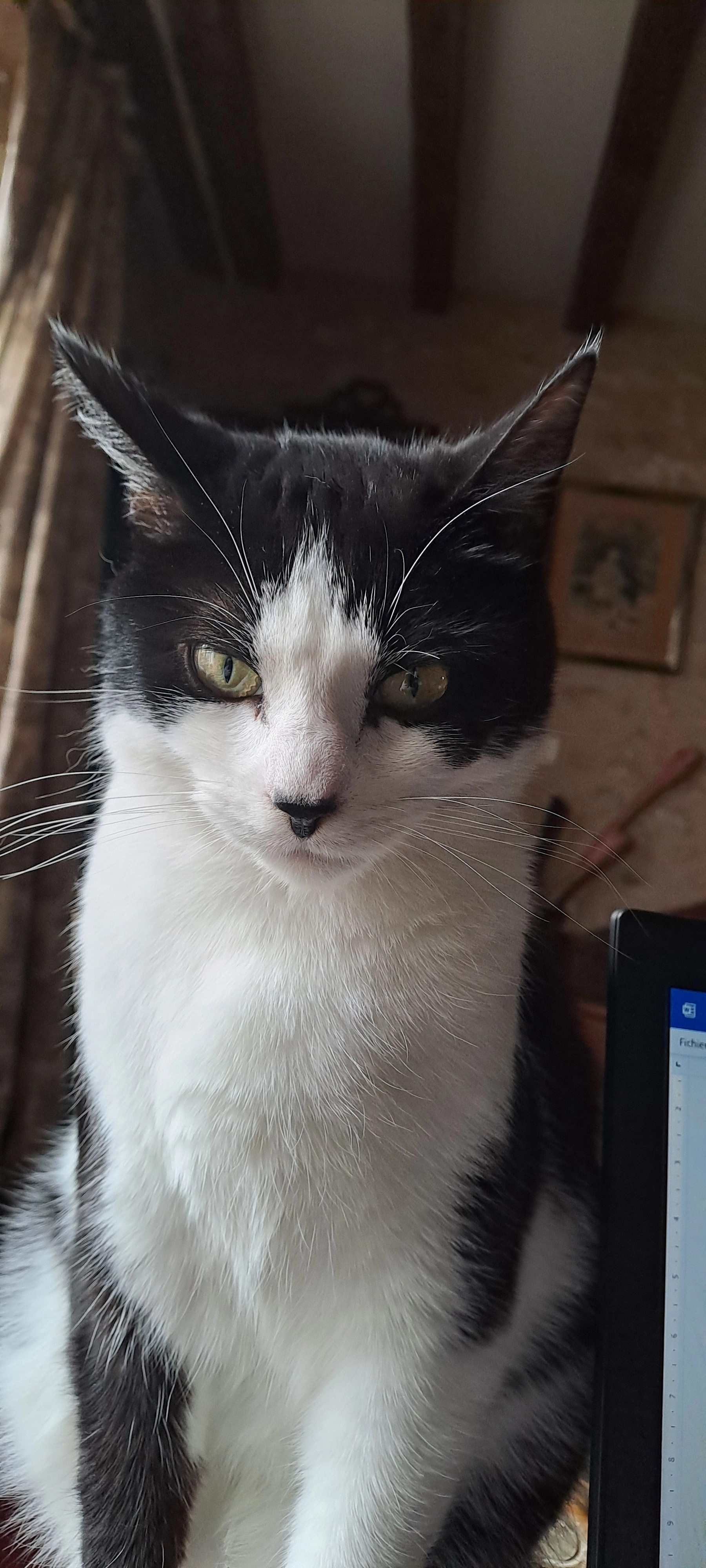 Gaspar - Route De Saint-Michel, Chalais