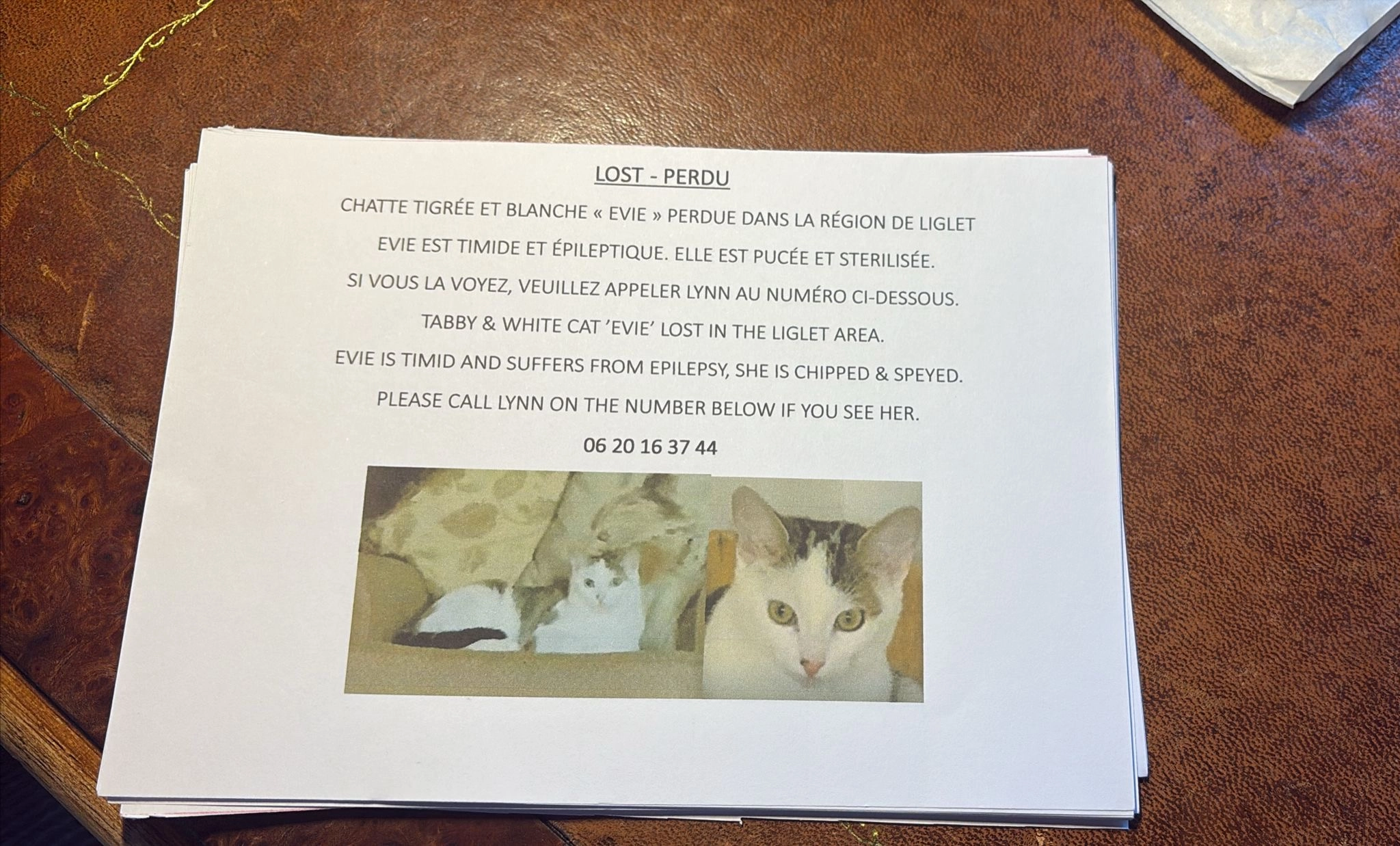 Evie - Lieu Dit Marcilly, Liglet