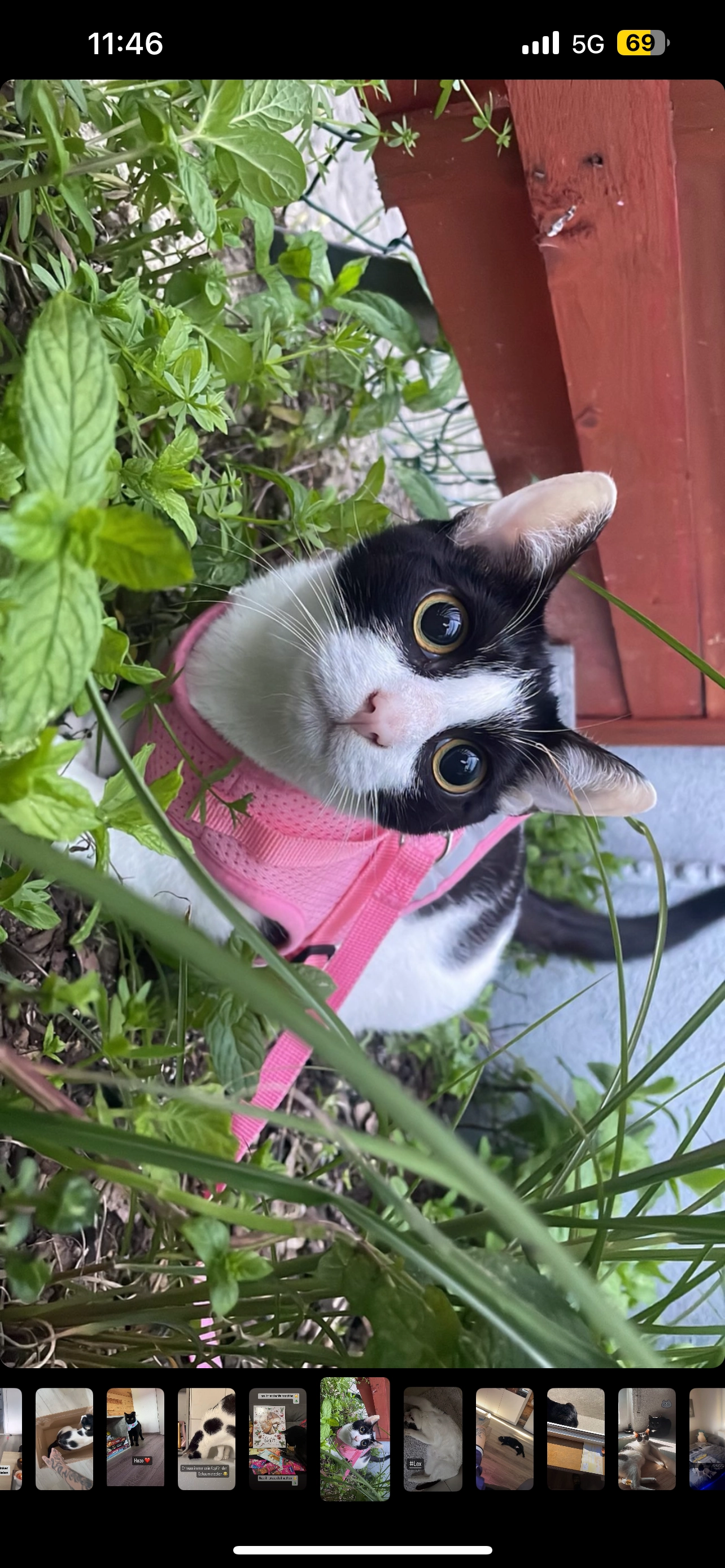 Lex - Laubersbachstraße, Hasselroth