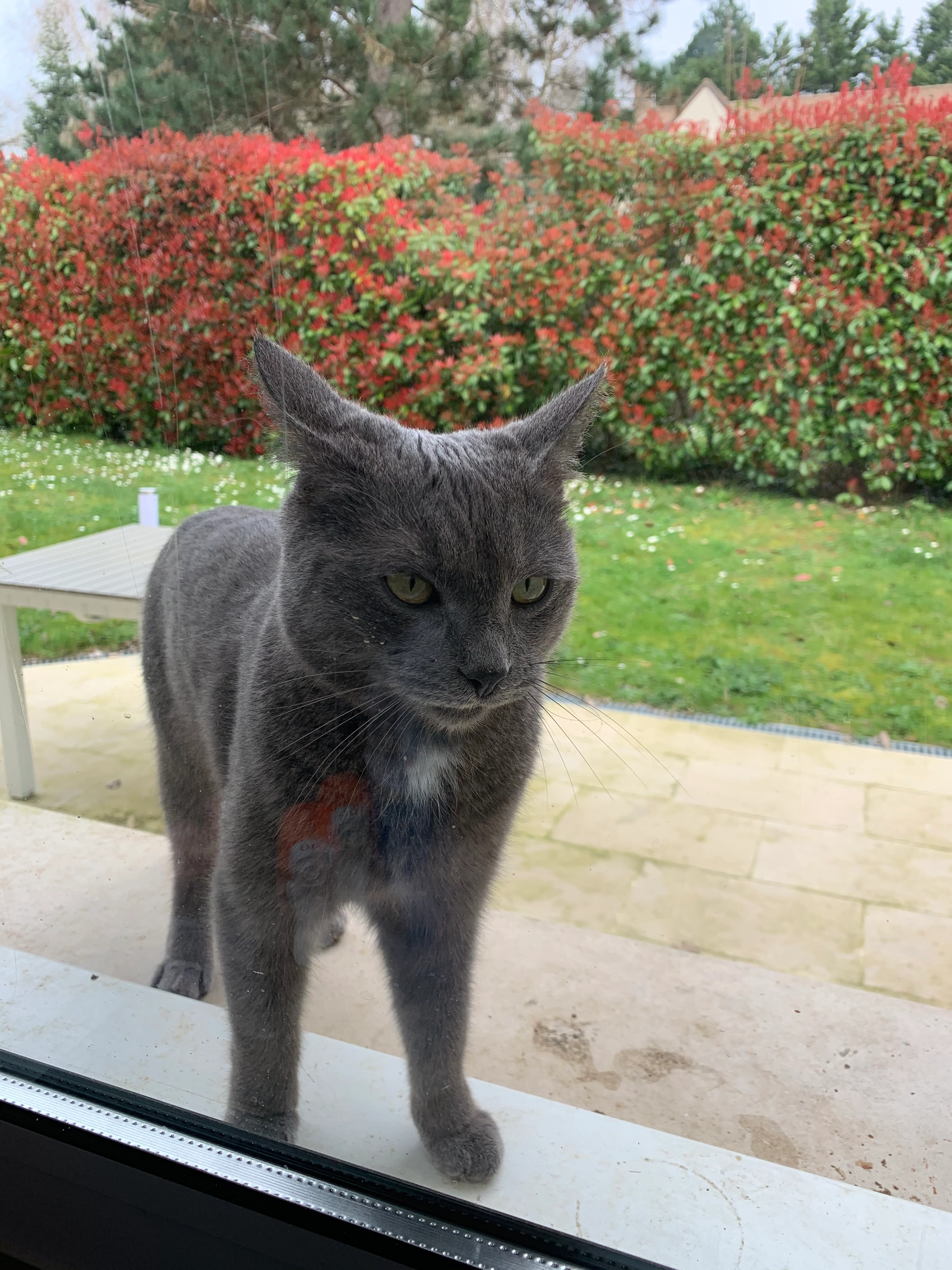 Gaïa - Allée Jeanne de Gondi, Saint-Nom-la-Bretèche