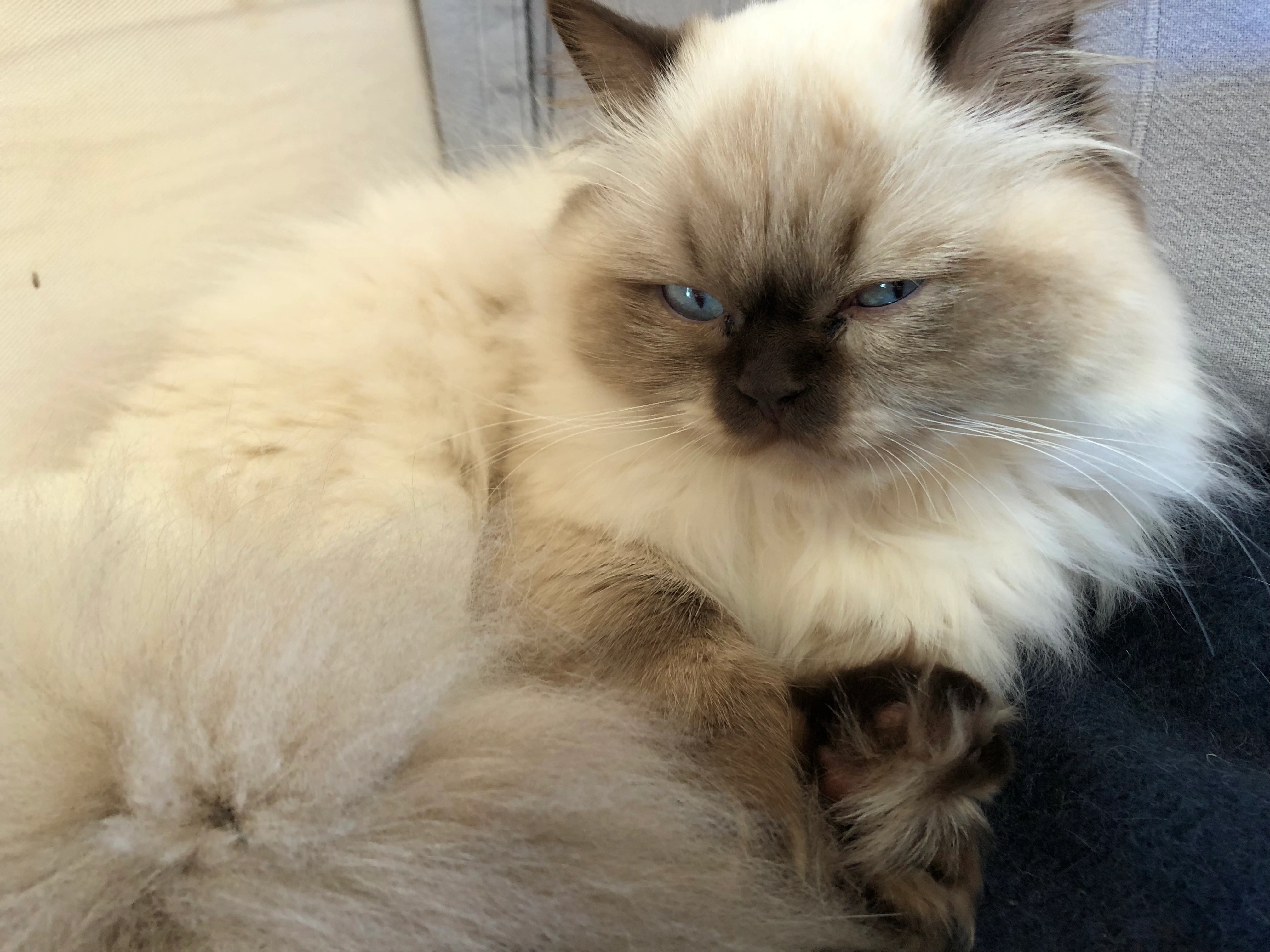 Emmi - Karrerstraße, Kempten