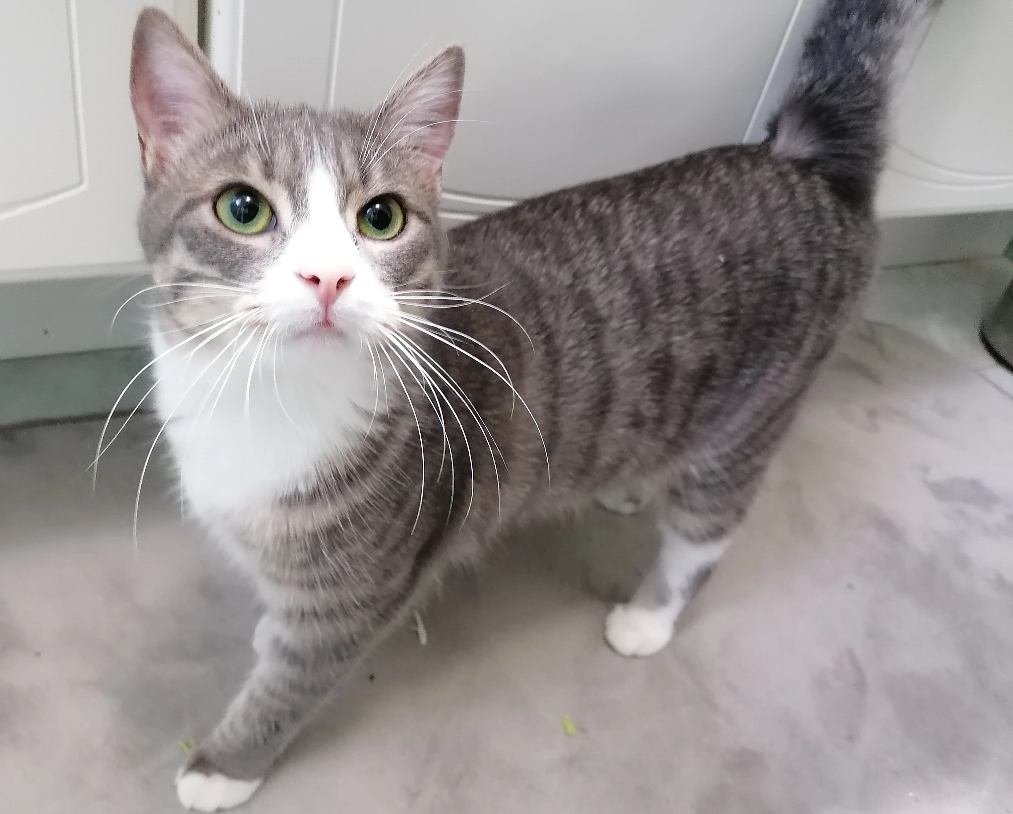 Ulma - 33 Rue de la Libération, Beauce-la-Romaine