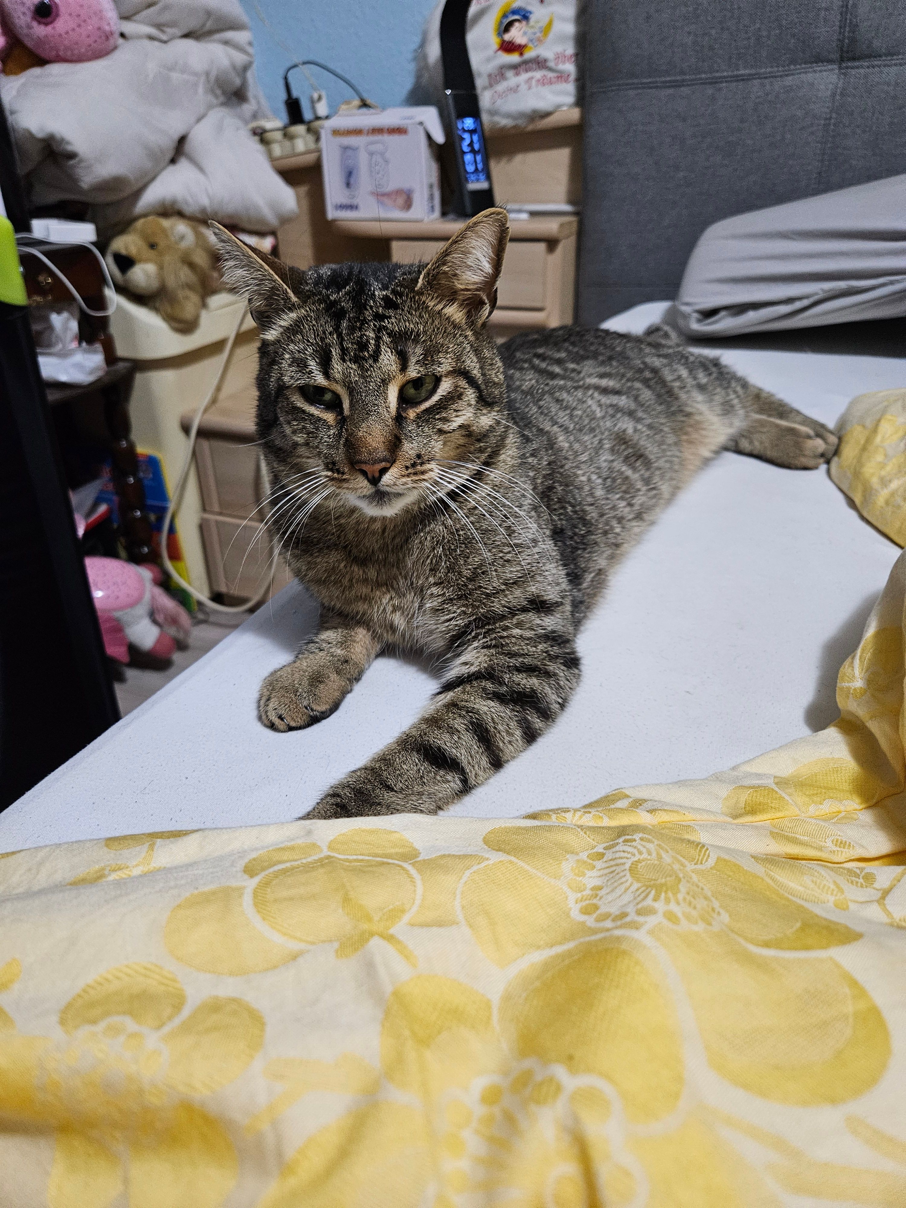 Dicker  - Bebelplatz, Zwenkau