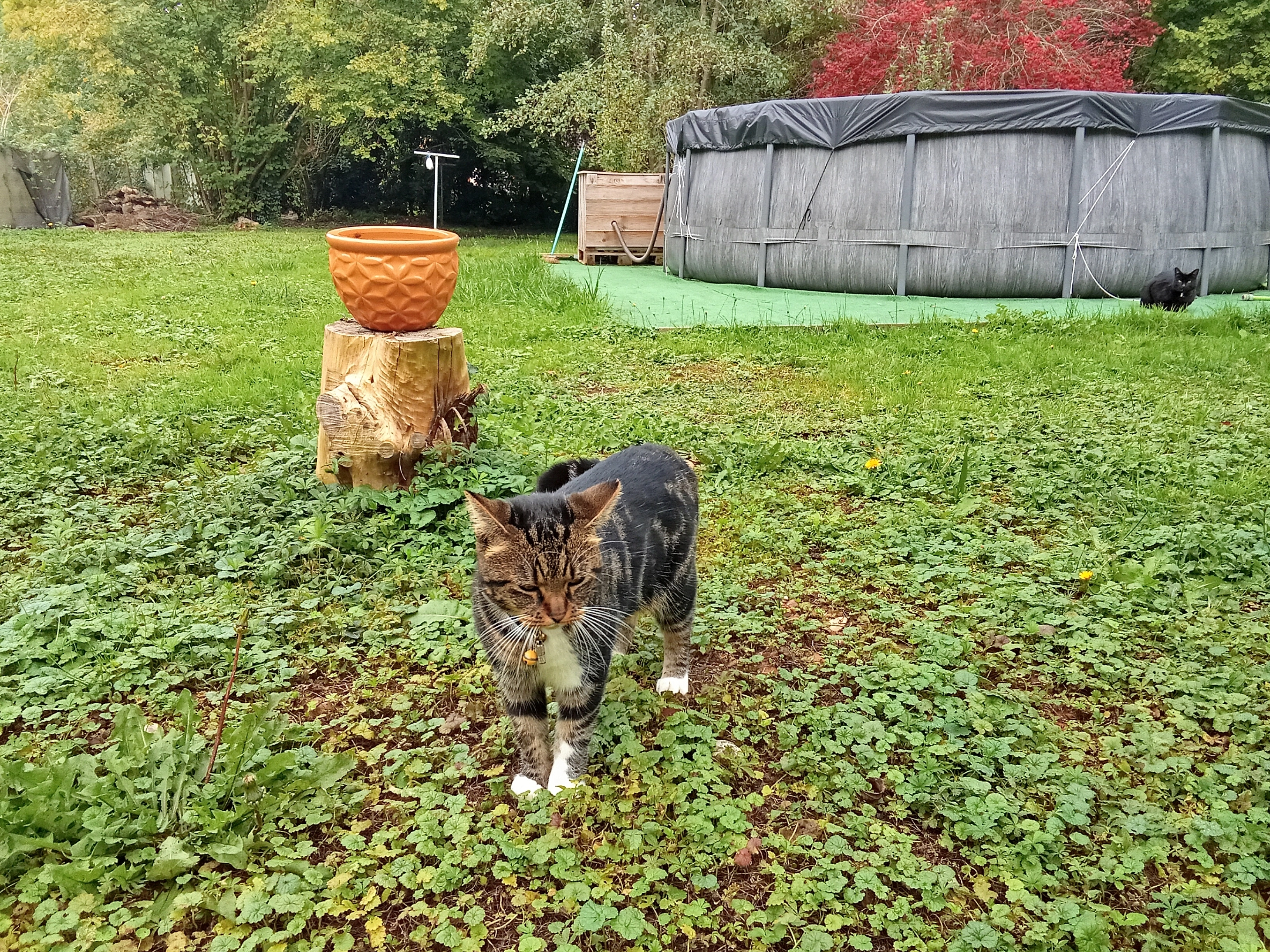 Dalla - Chemin des Terres Moreau, Sainte-Gemme-Moronval