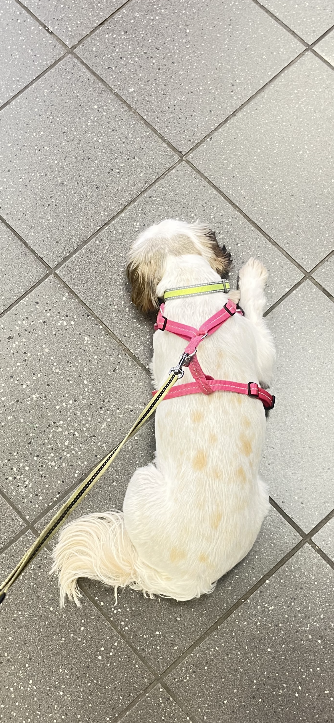 Jones - Mill Road, Cambridge