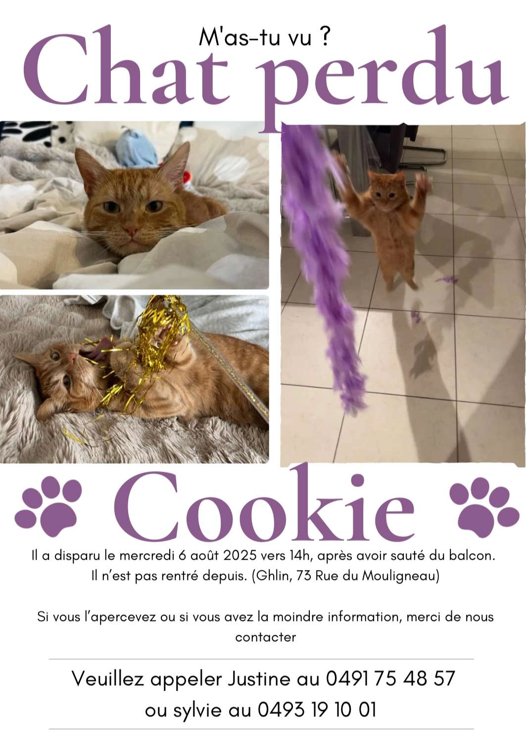 Cookie - Rue Du Mouligneau, Mons