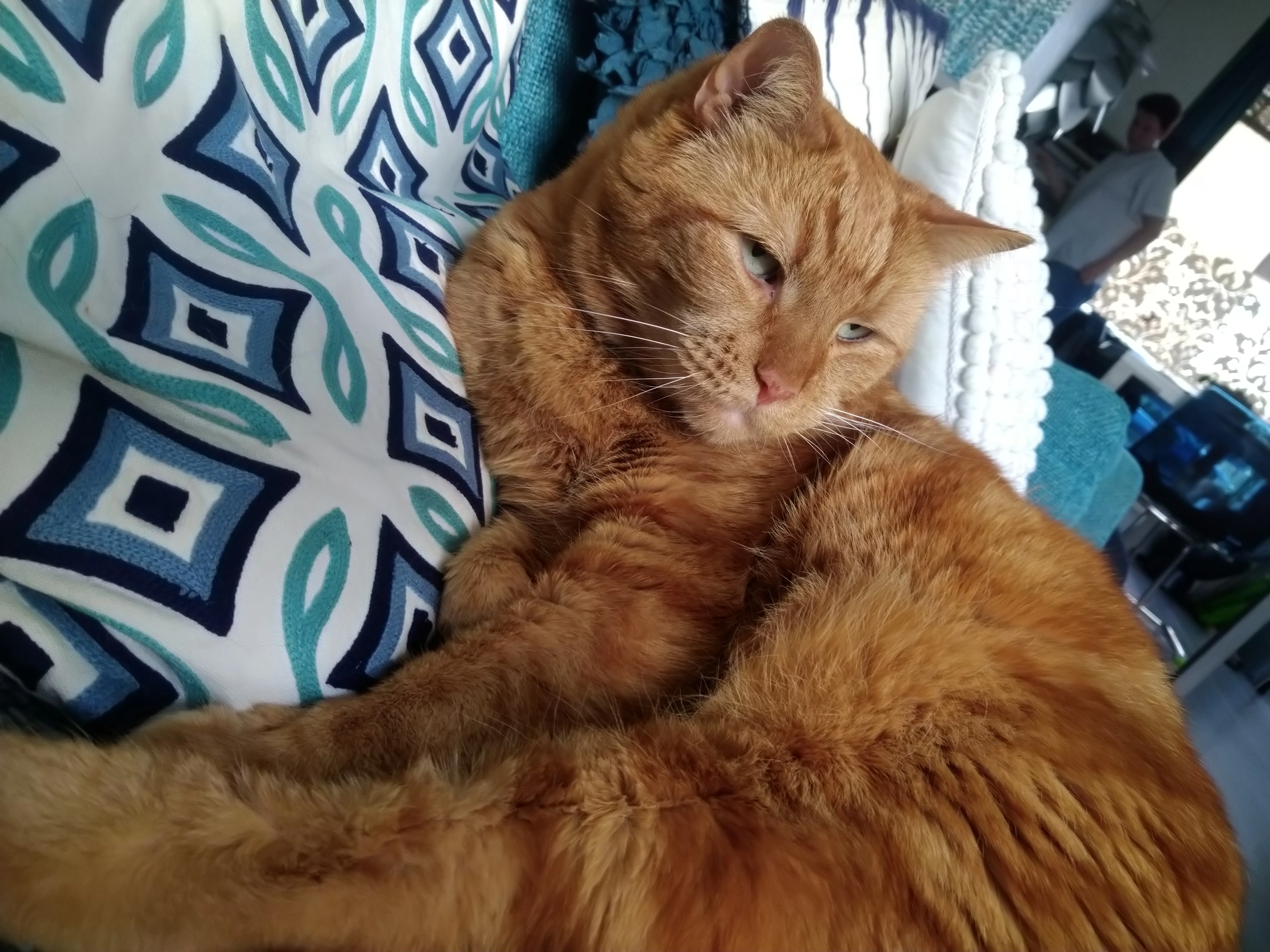 Jeruk - De Kempenaerstraat, Vlissingen