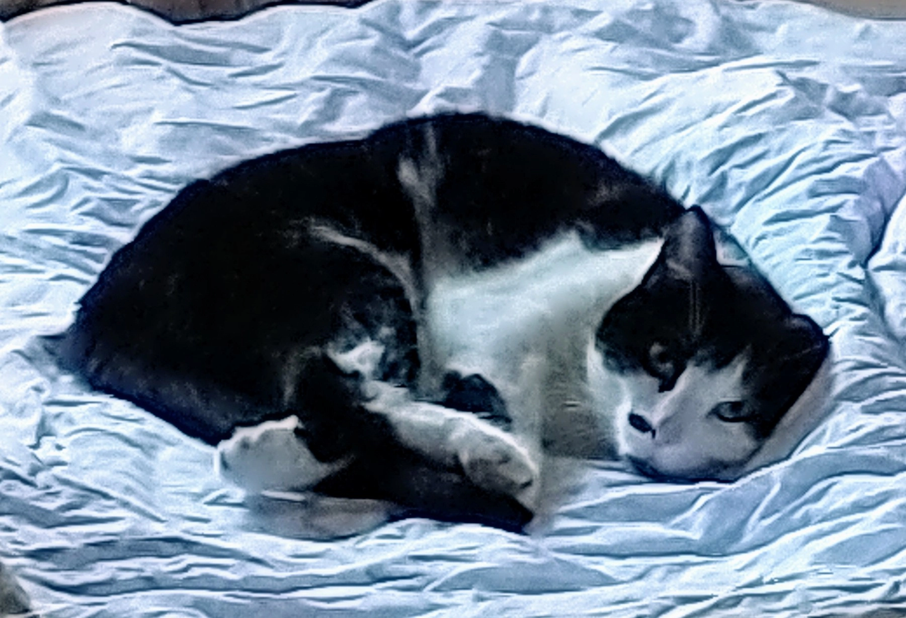 Bella(trix) - Ochtmannsbruch Siedlung, Hollenstedt