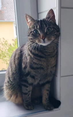 Mia - Hans-Schnitzer-Weg, Wangen im Allgäu