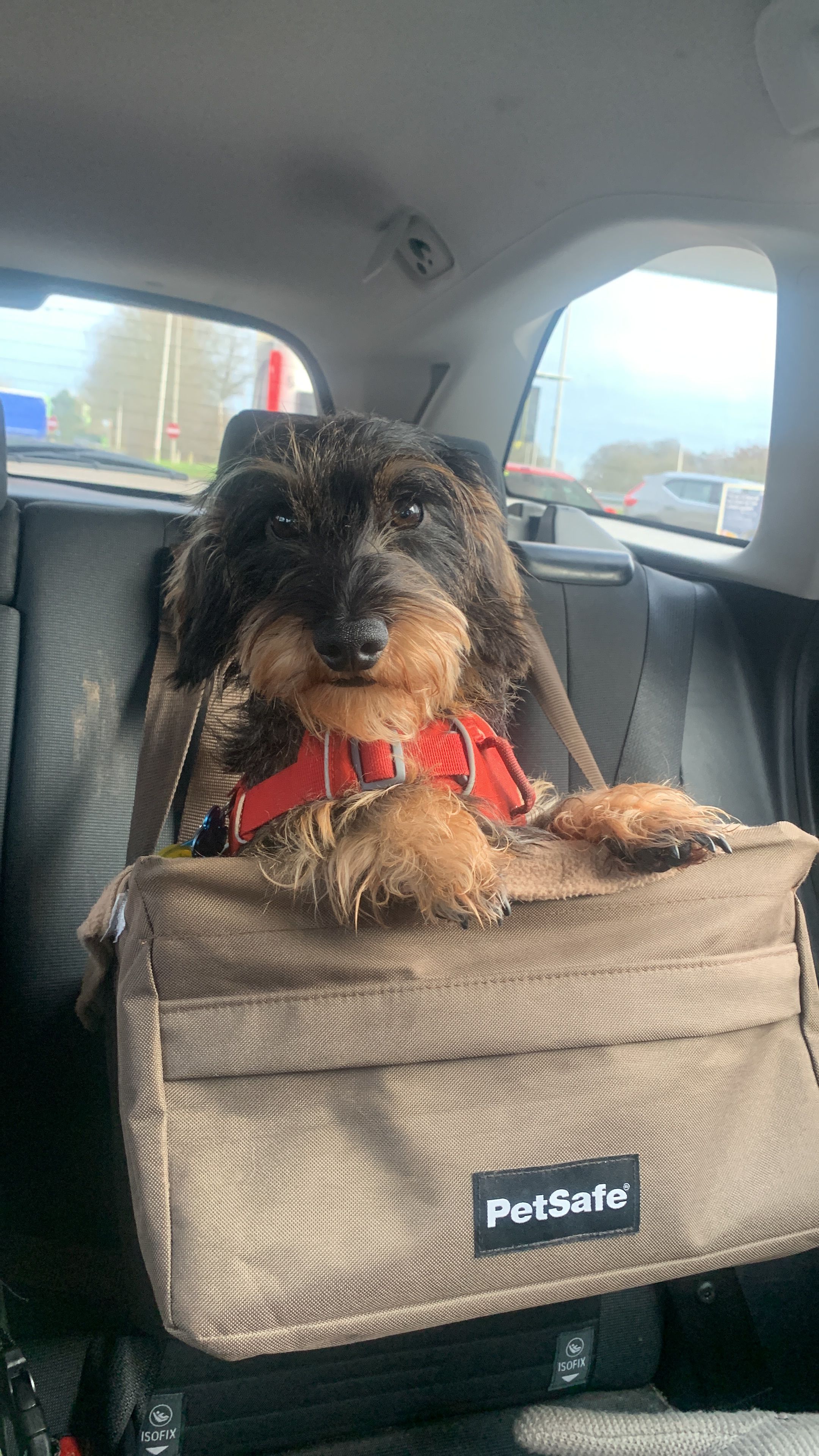 enzo - Hoge Enk, Gelderland