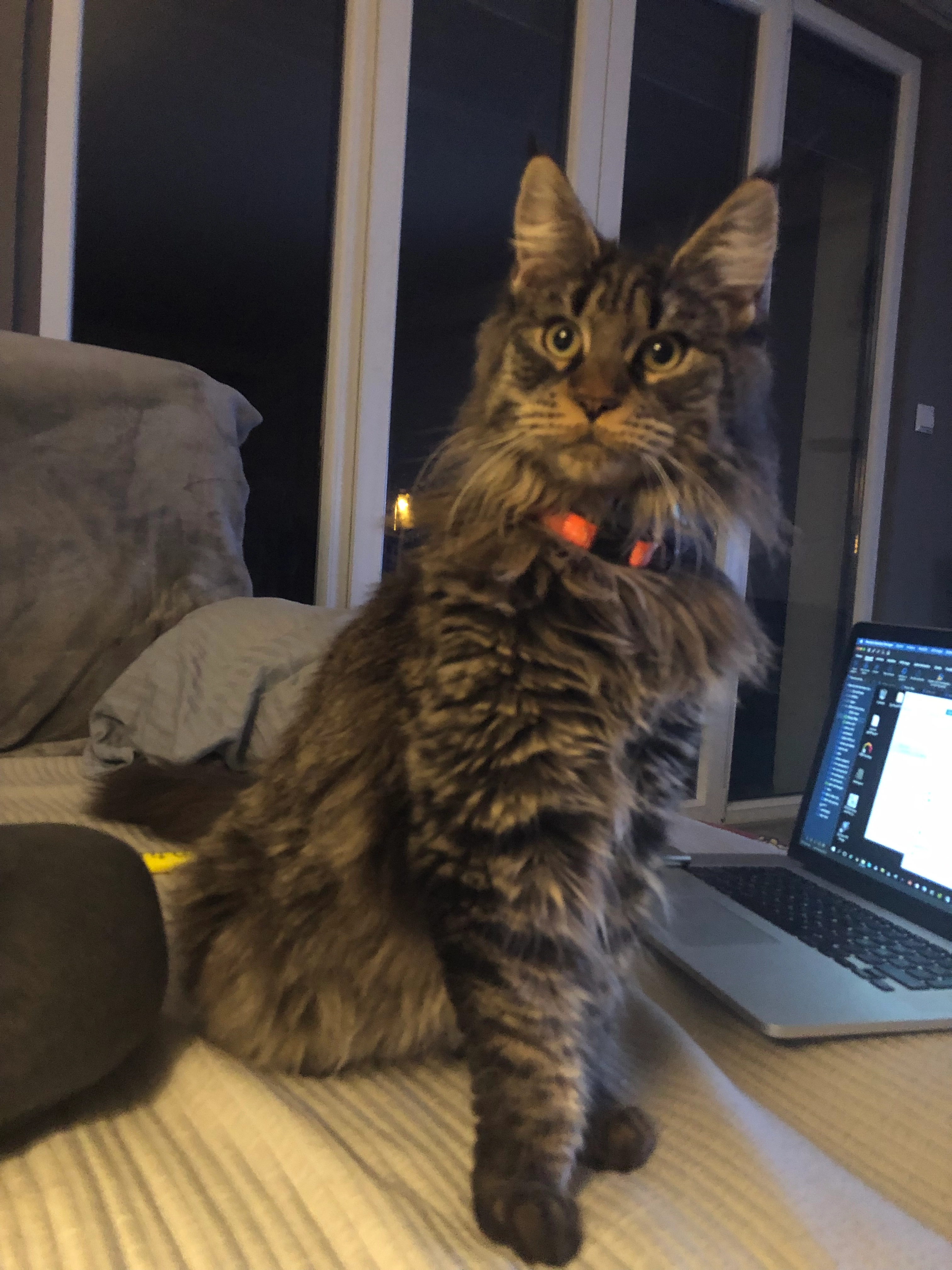 Jade - Route de Cruisseau, Béligneux