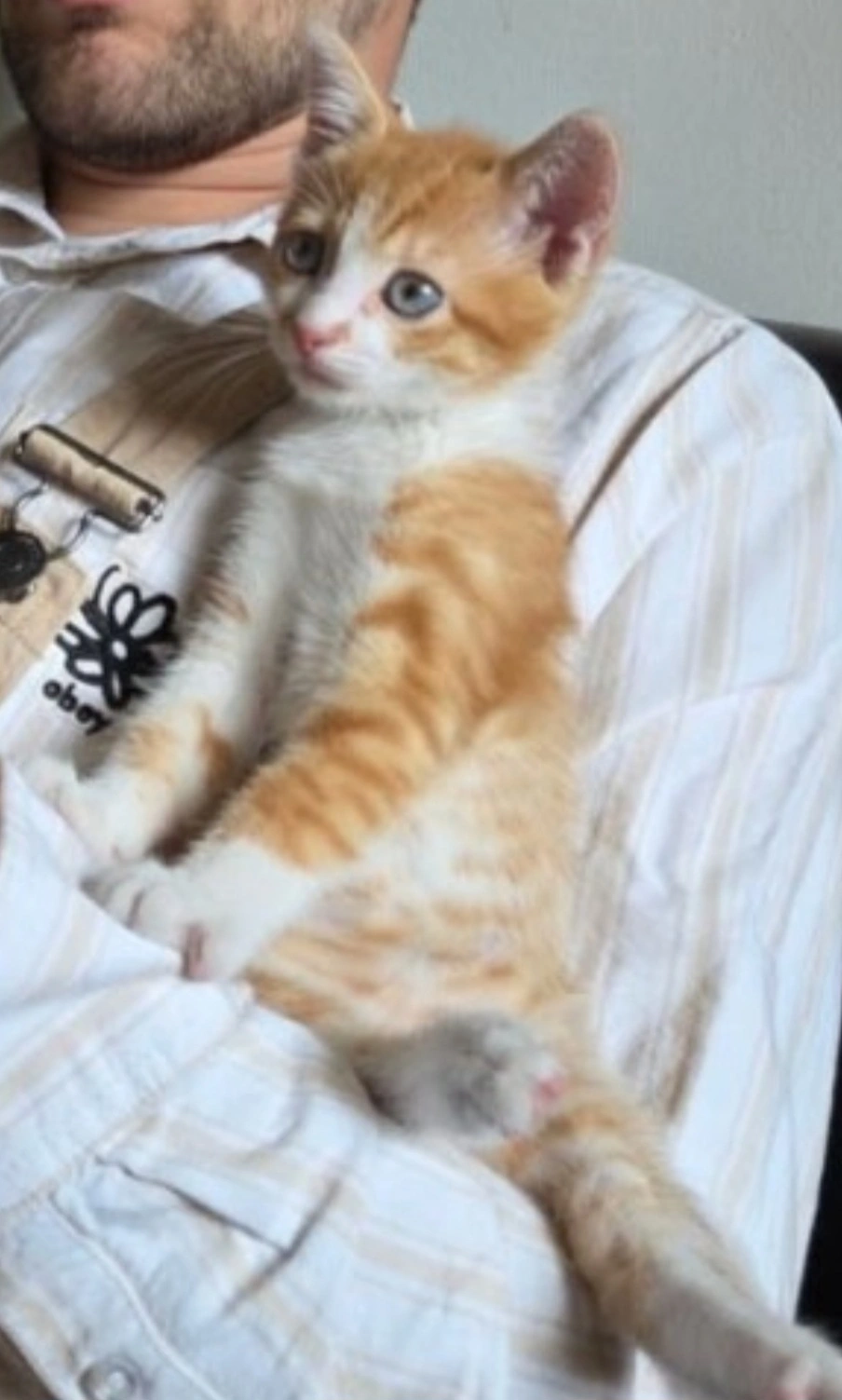 Flat - 5 Rue Basse, Montfort-le-Gesnois