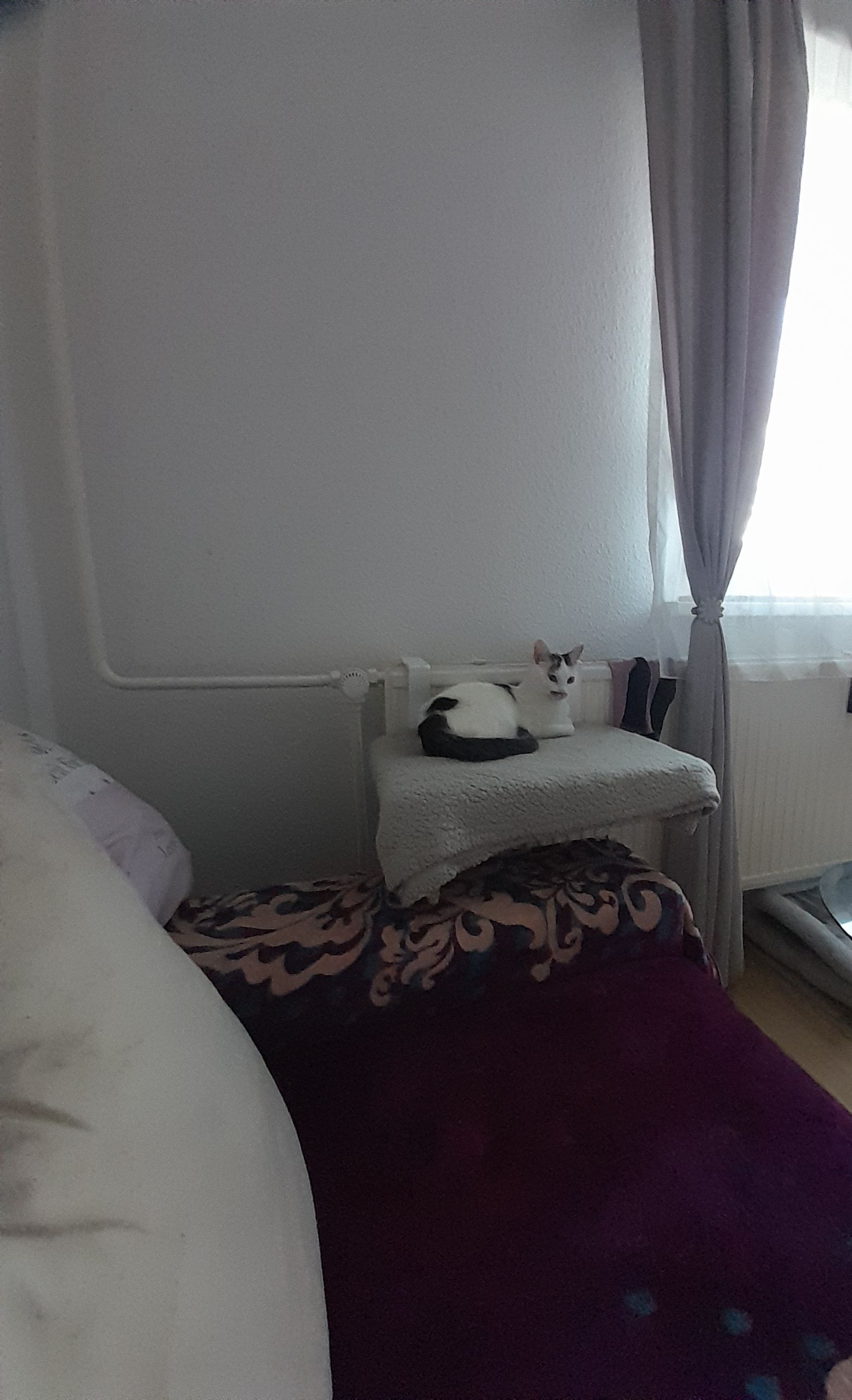 Motte  - Friedeburger Straße 42, Freiberg