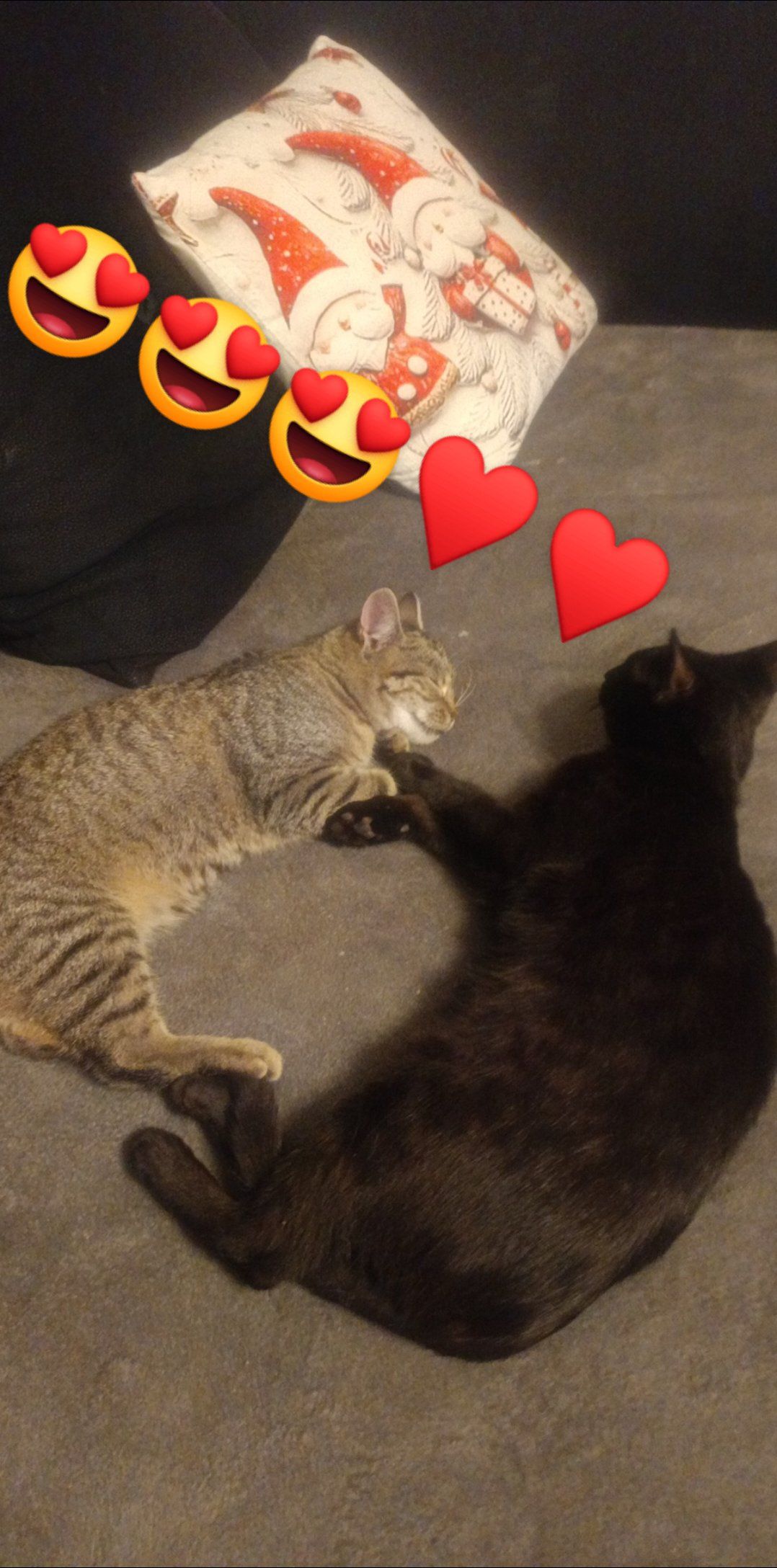 Kiler - Adama Mickiewicza, Lubomia