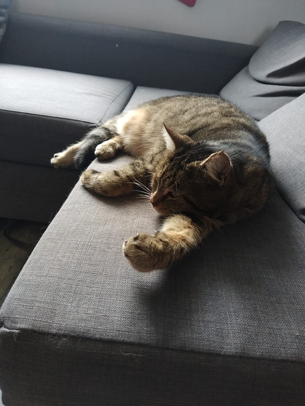 Mint  - Za La Champagne, Bonny-sur-Loire