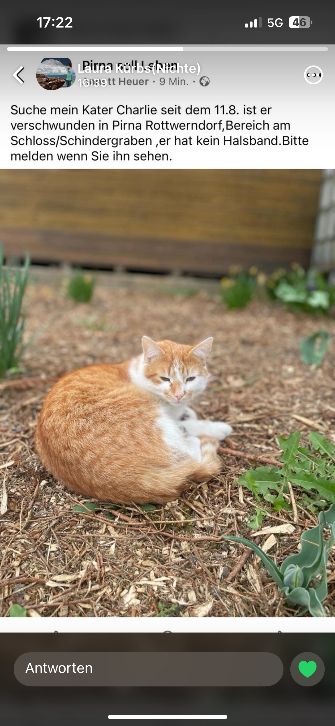 Charlie - Schindergraben, Dohma