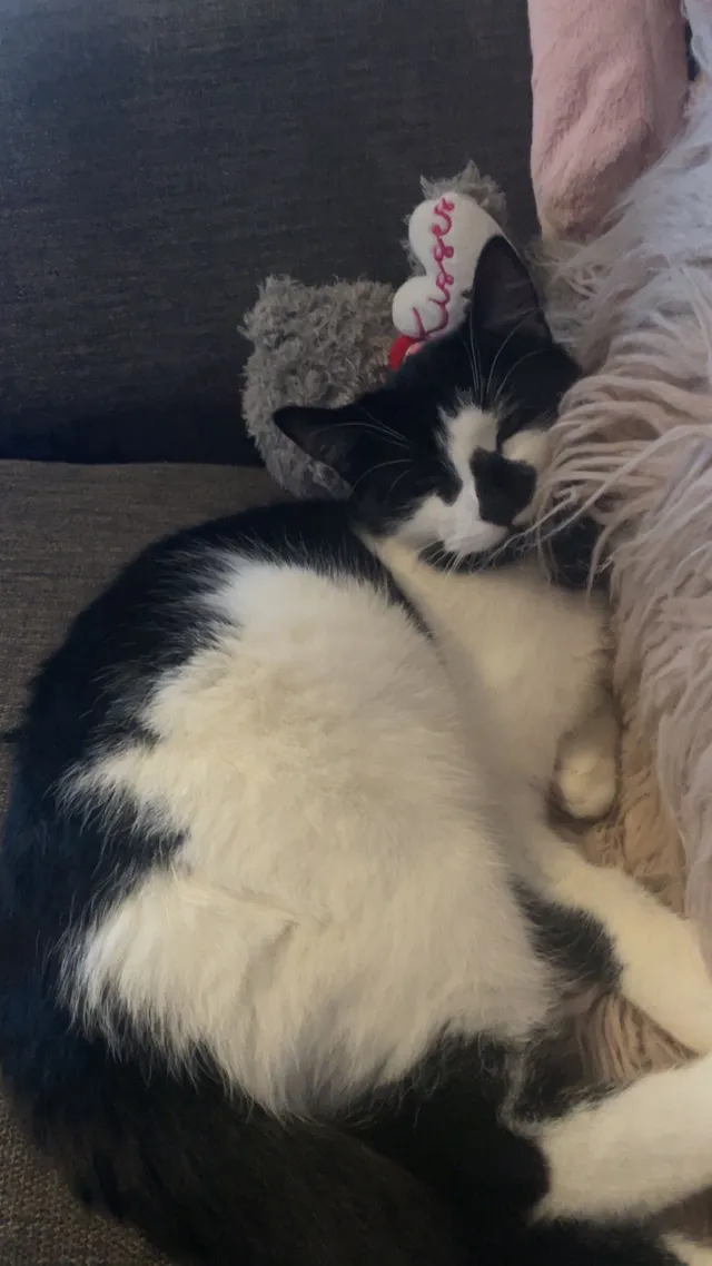 Luna - Gloucester Street, St Helens