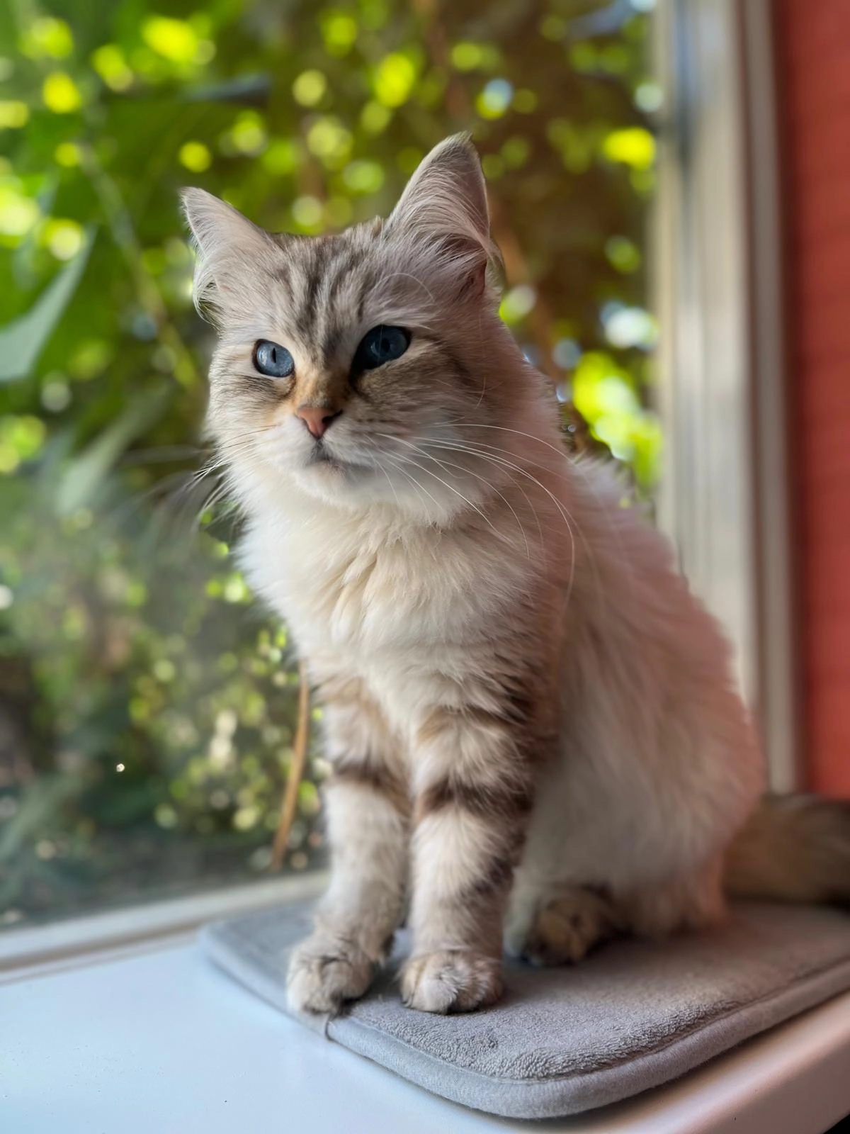 Goosh - 8071, Nunspeet