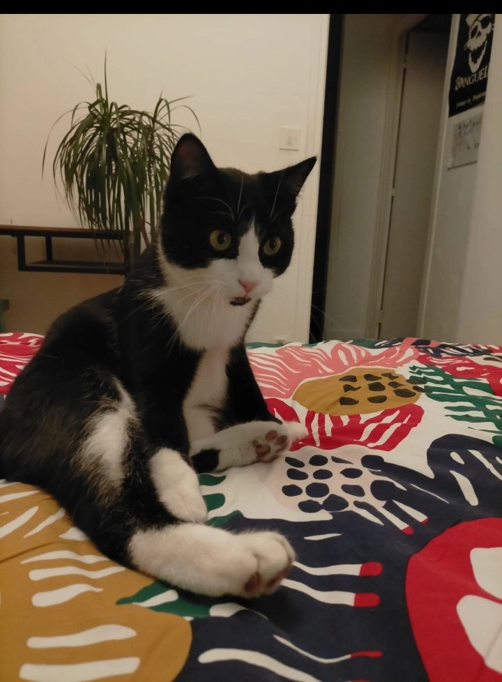 Gisel - Rue Nouvelle des Liondards, Clermont-Ferrand