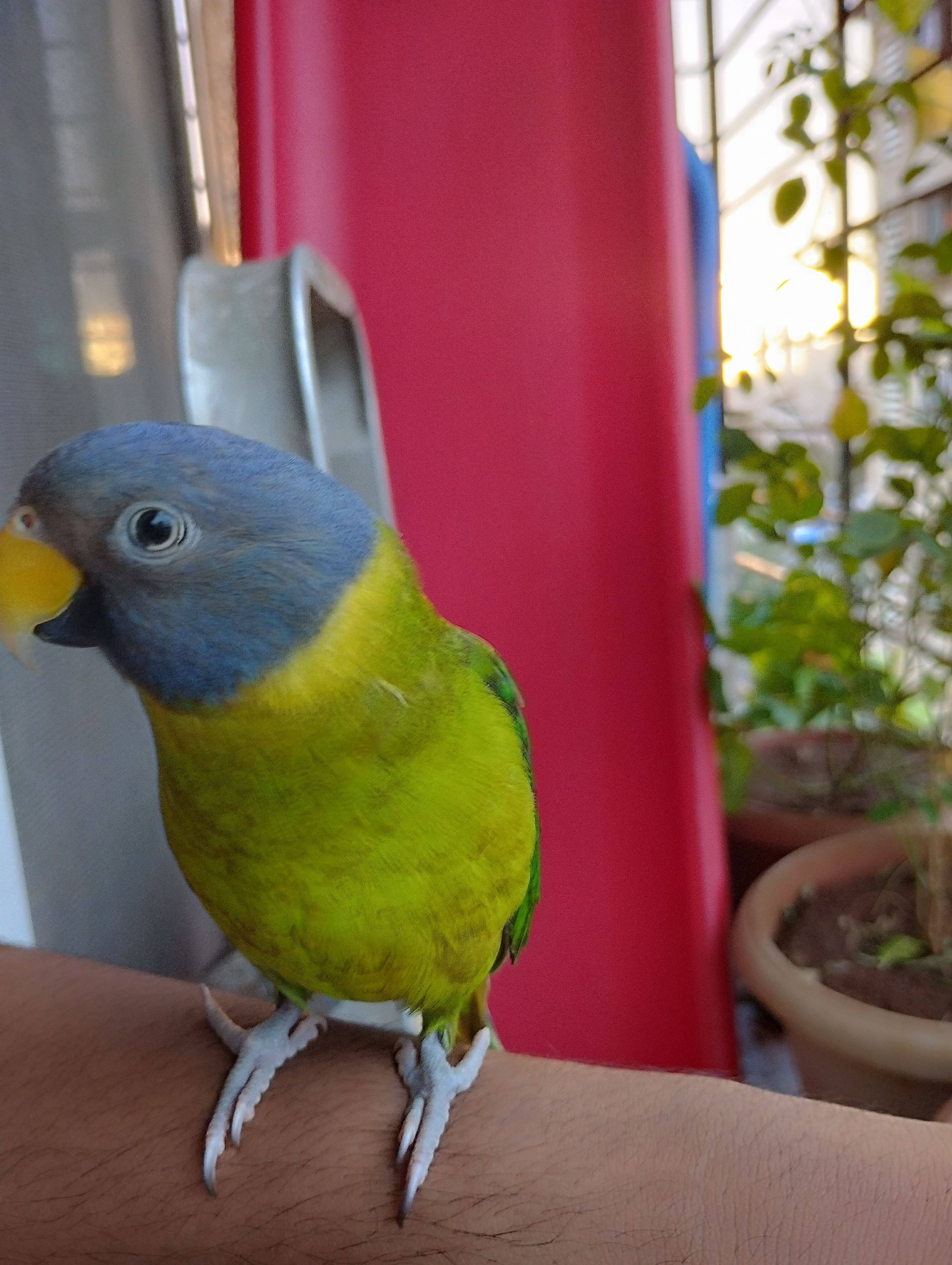 Mittuly - Anmol heights Santoshi mata mandir Triveni nagar Mumbai, Maharashtra 400097, Mumbai