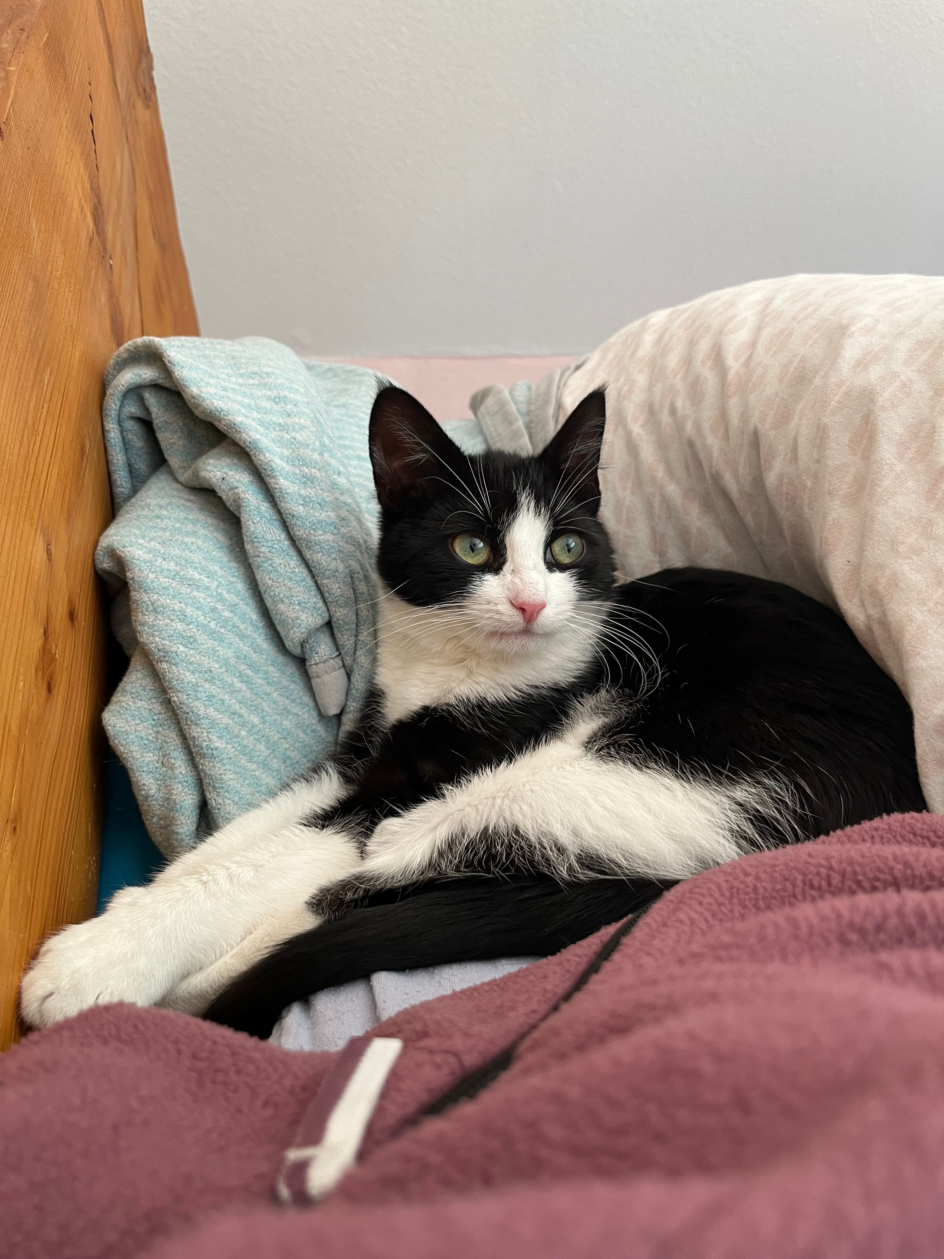 Frieda - Am See, Schülldorf