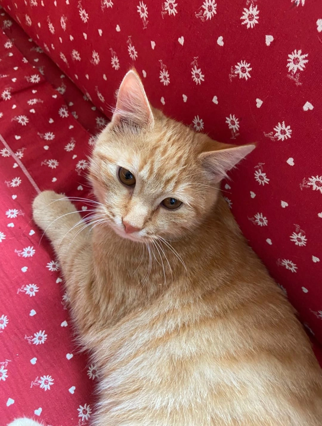 Strolchi - Gerbishofen, Kaltental