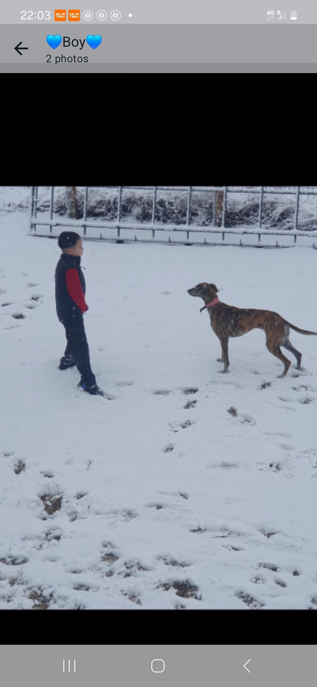 Maggie - CH2 4, Chester