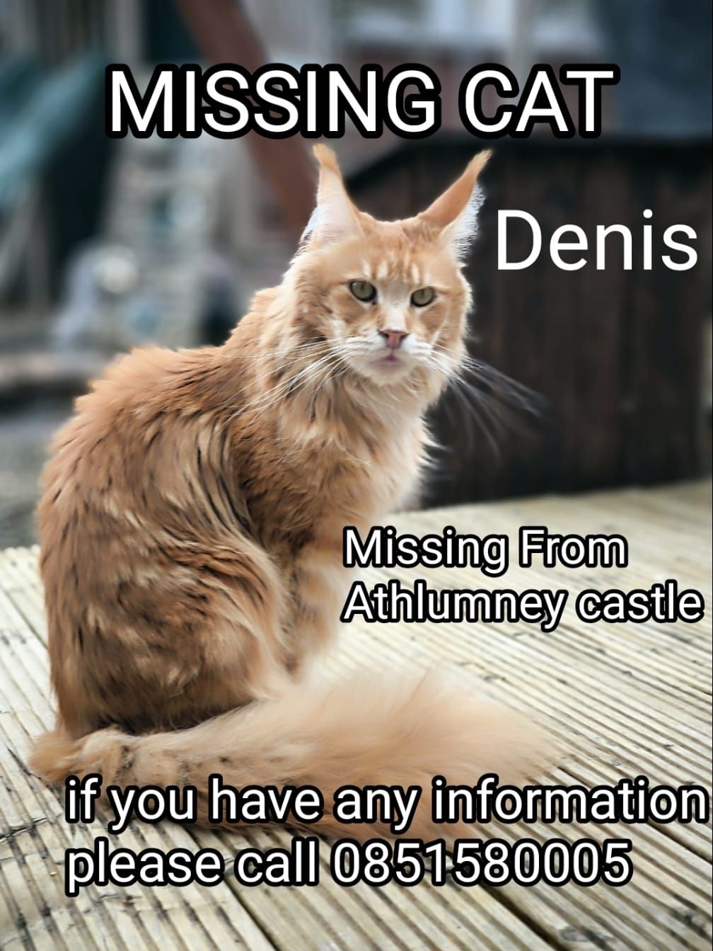 Denis  - Athlumney Castle, Navan