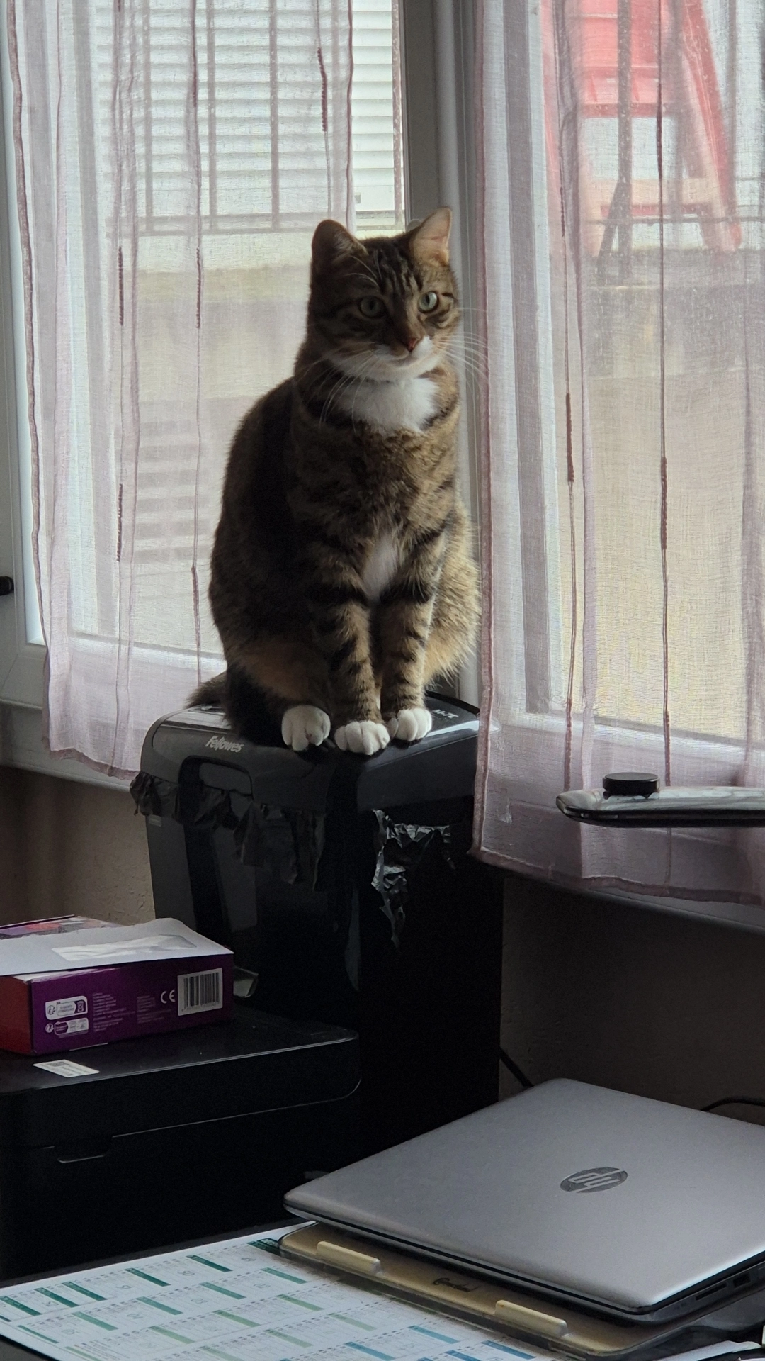 URHOS - 57 Rue du Squiriou, Pont-de-Buis-lès-Quimerch