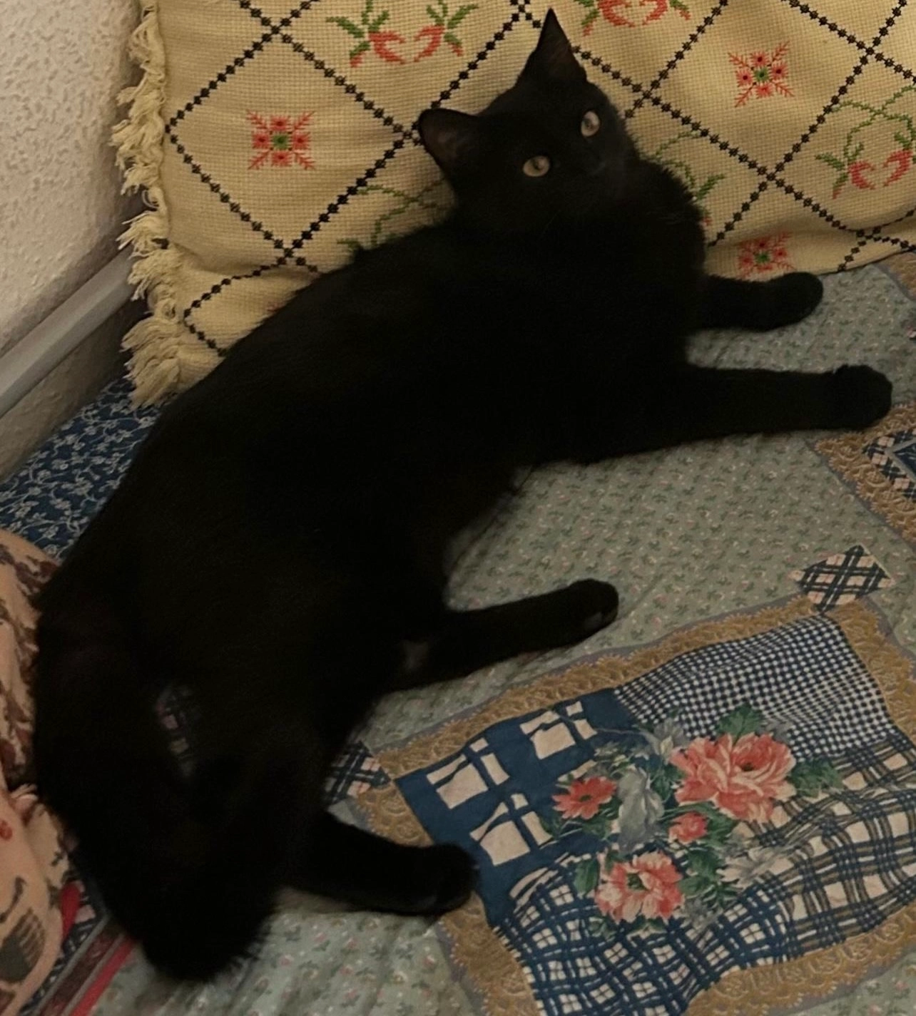 Bota  - David-Richter-Straße, Gaildorf