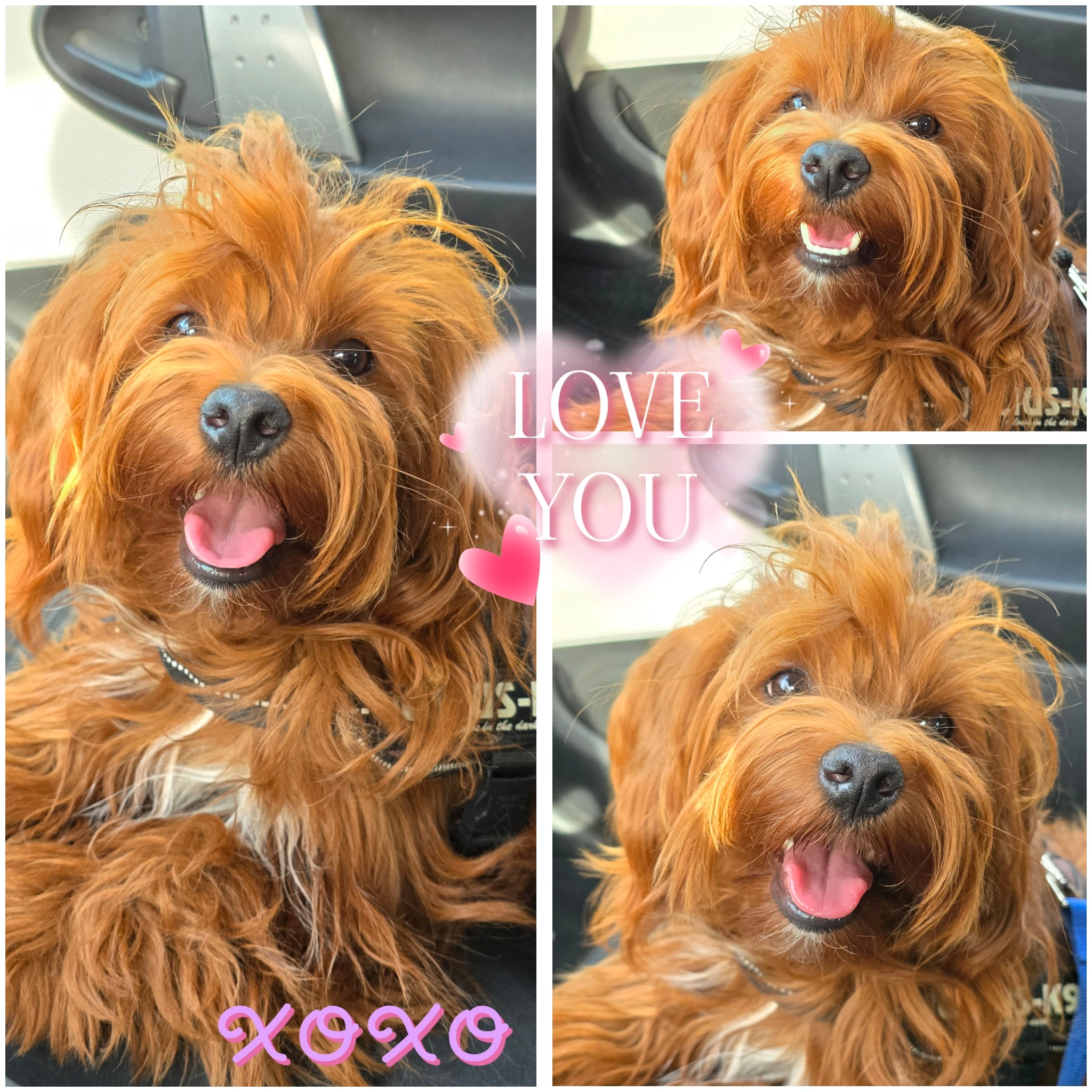 Michelle  - Tuurkesweg, Weert