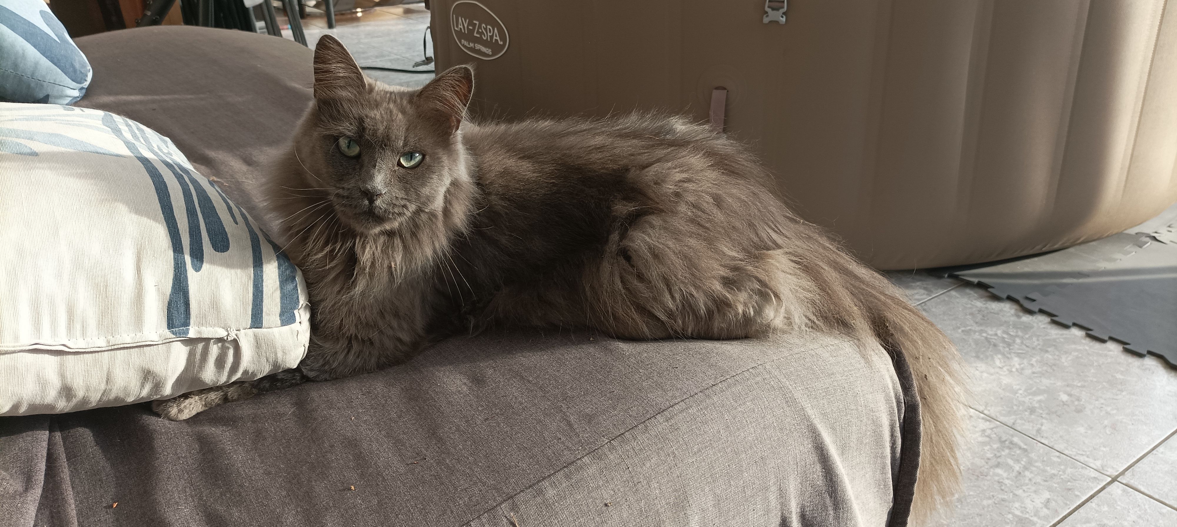 Smoky - 18 Rue des Topazes, Migné-Auxances