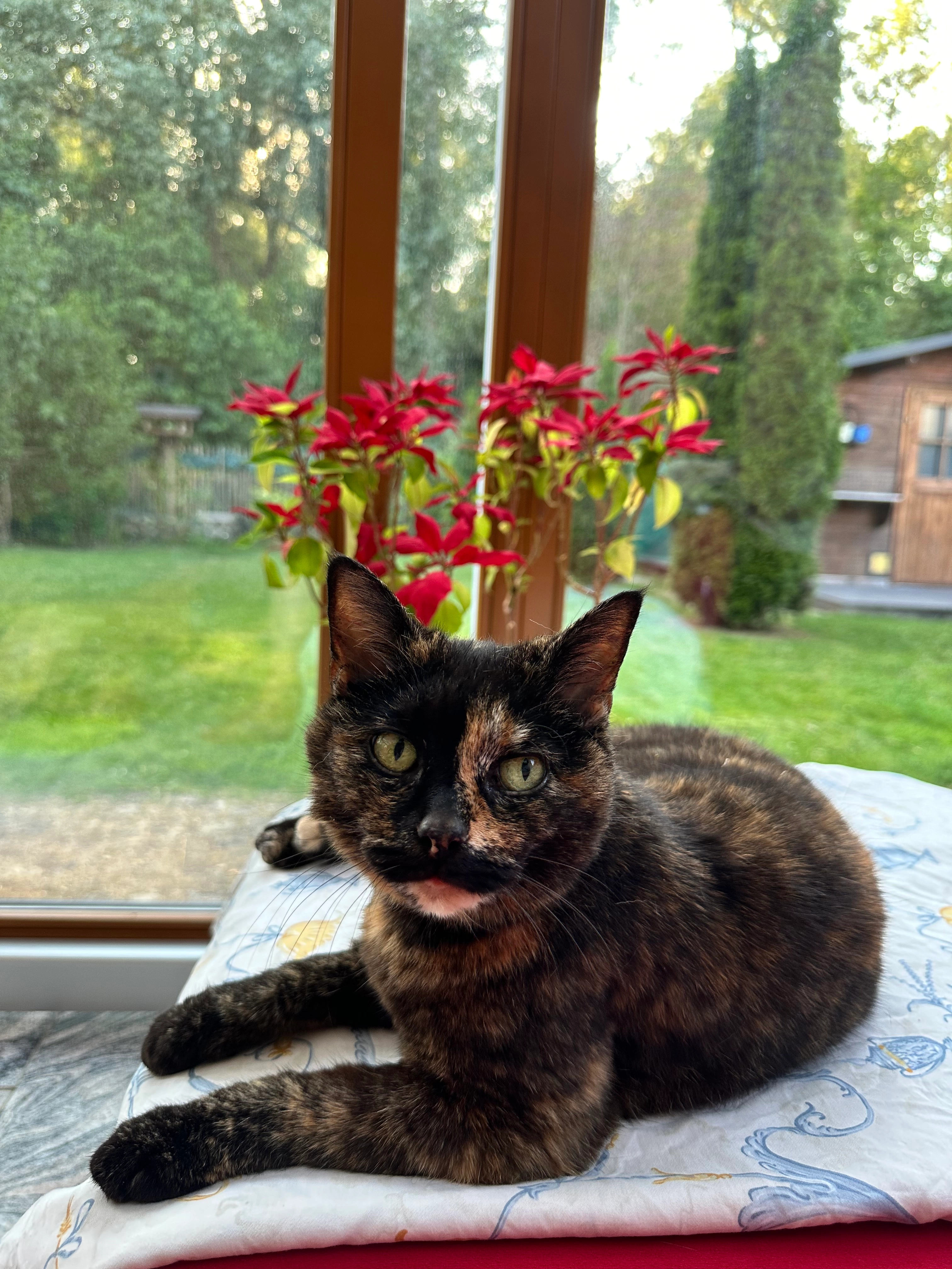 Paula - Am Hafen, Poseritz