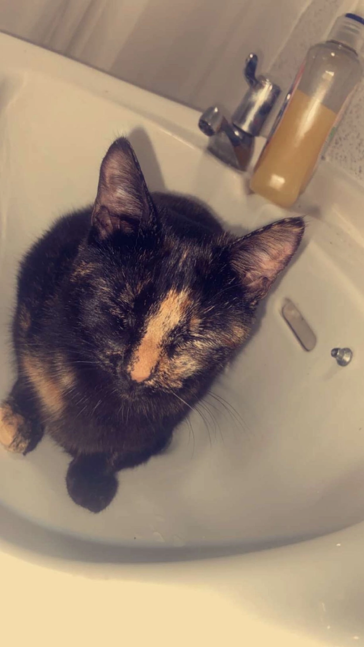 Nella  - East Avenue, Caerphilly County Borough