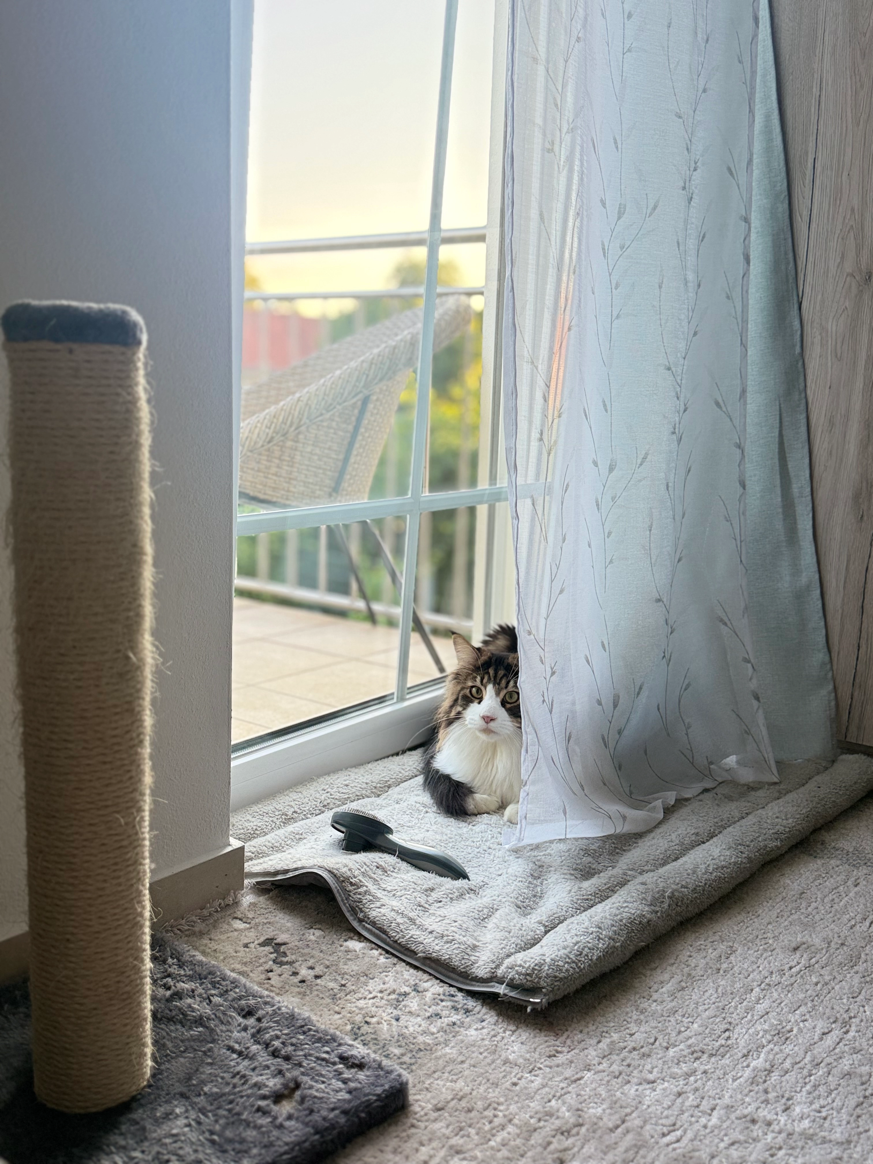 Dyson - Am Ochsenhof, Deggendorf