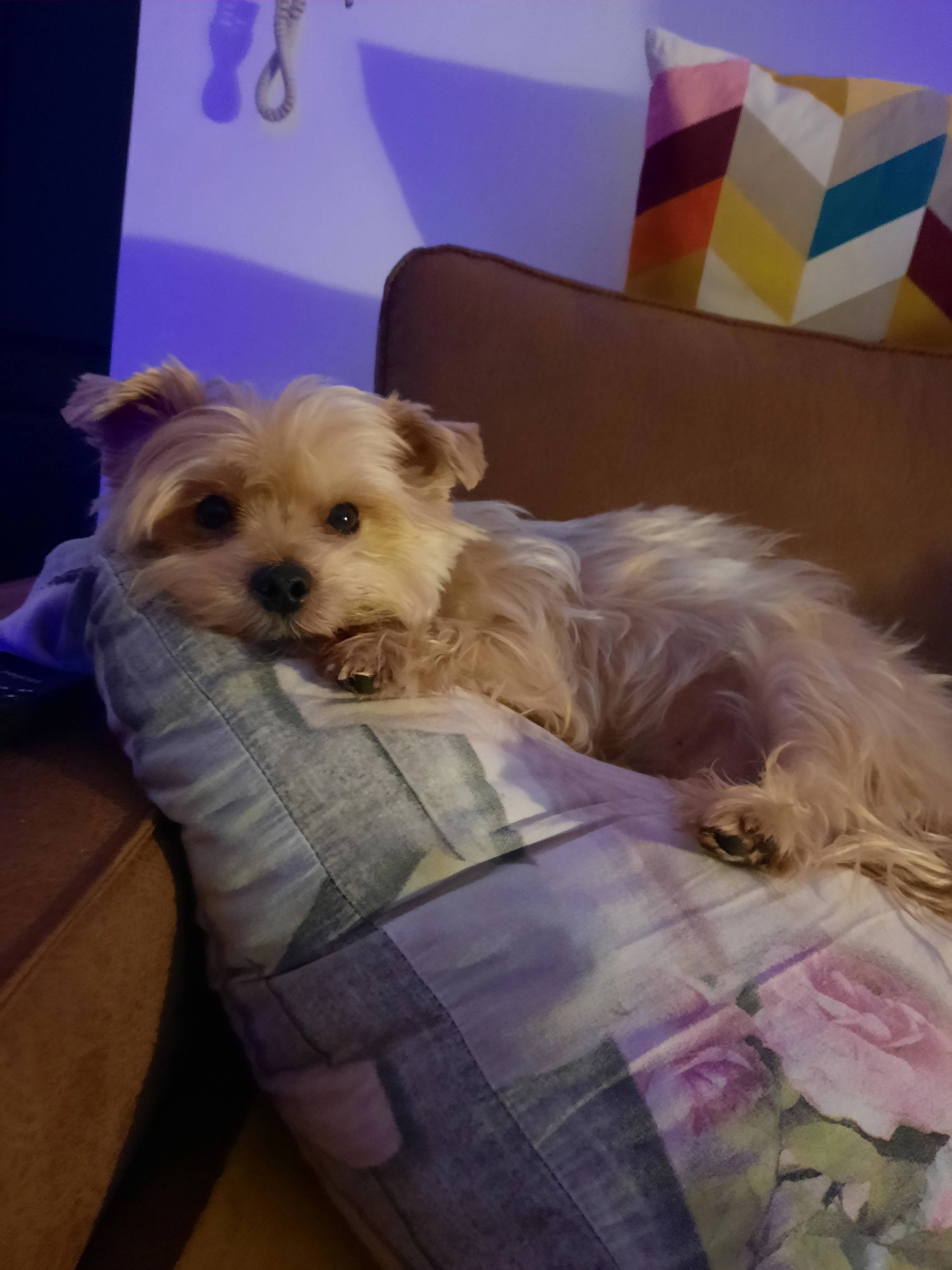 Luna - Route De Charleroi, Binche