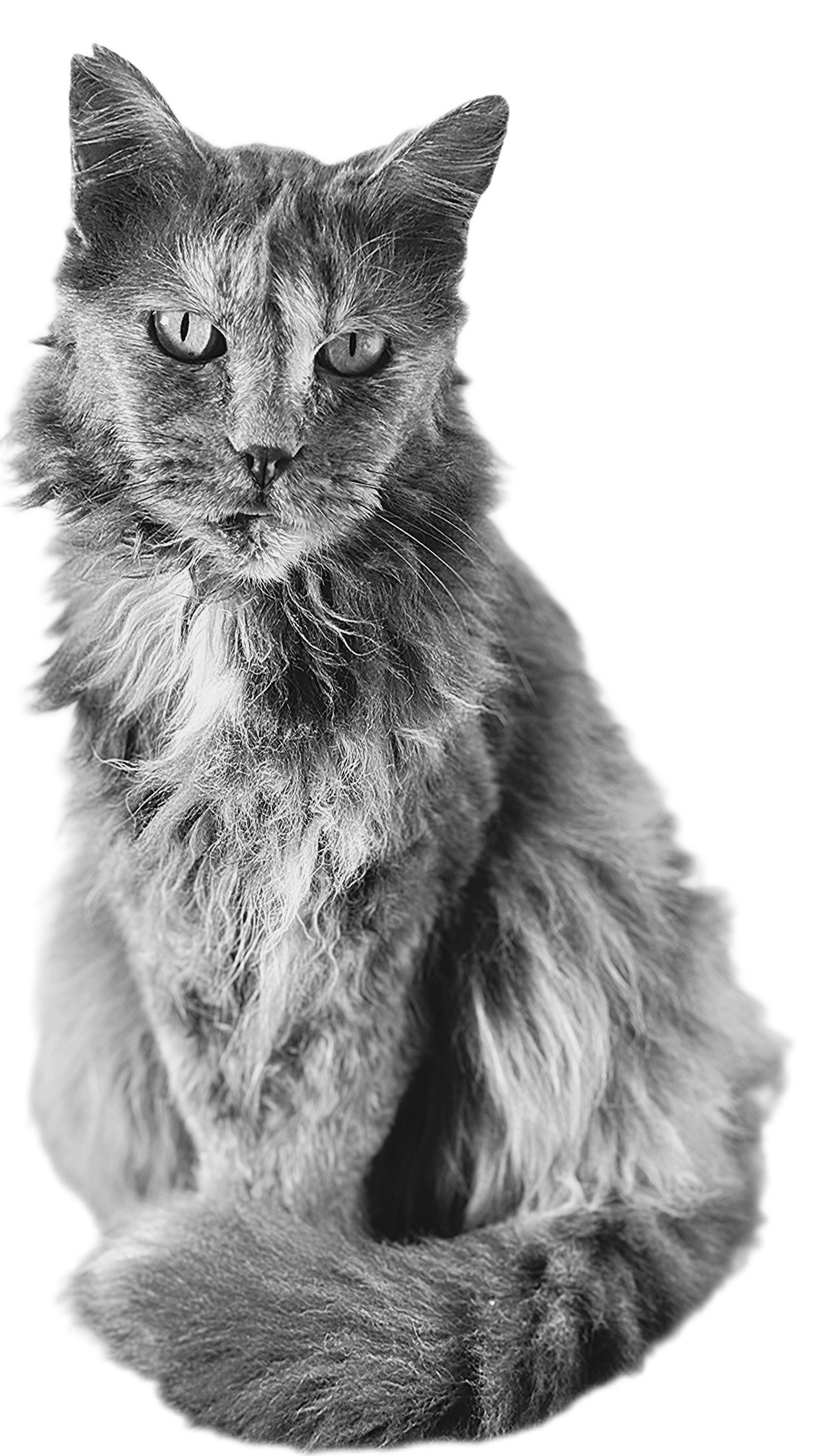 Lulu - Ds Majadilla Del Muerto, Mijas