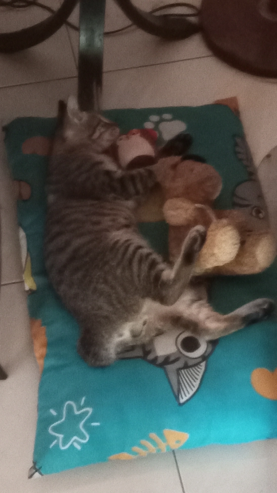 Raphael - Jalan Rishah Indah 1, Ipoh