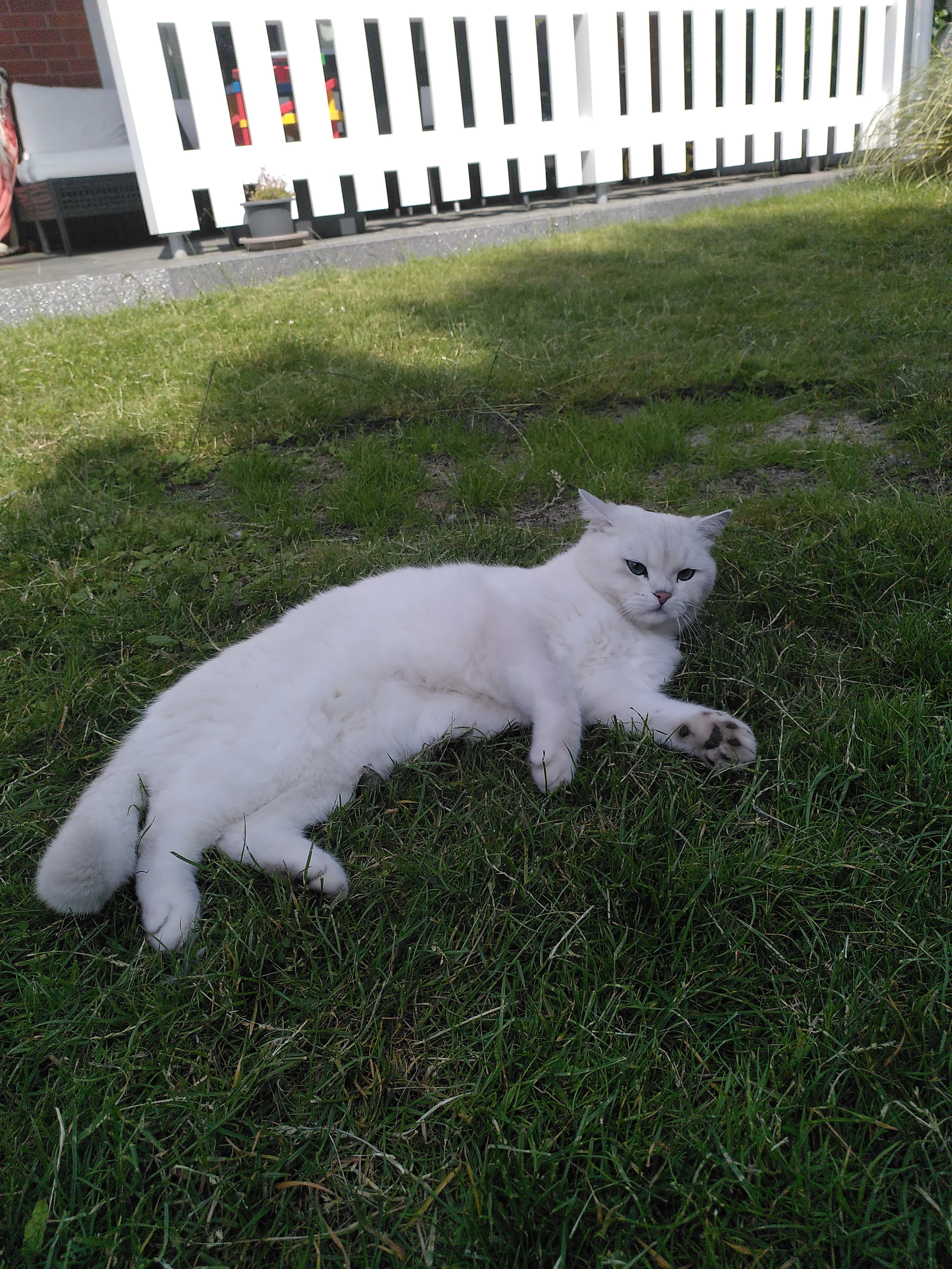 Cookie - Am Holzkamp, Lilienthal