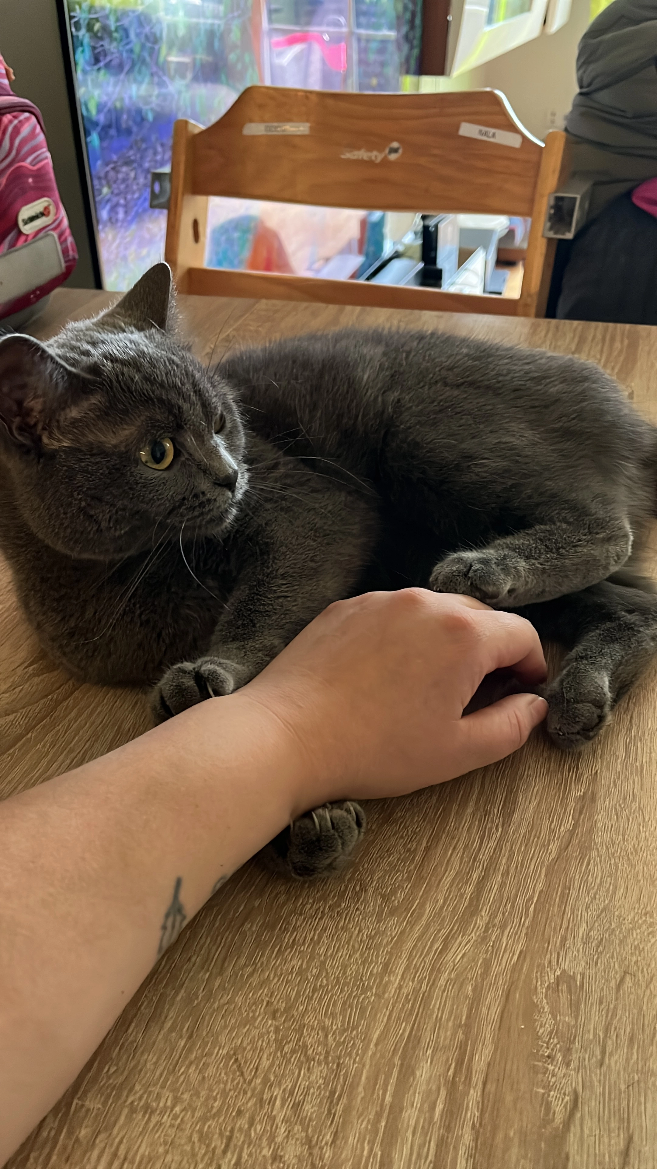 Nala - Friedensstraße 16, Grödig