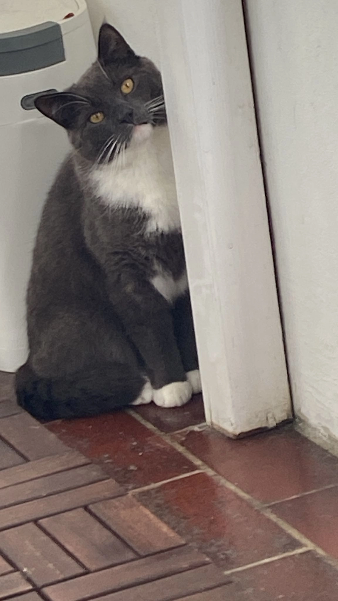 Archi - Ebertstraße, Wilhelmshaven