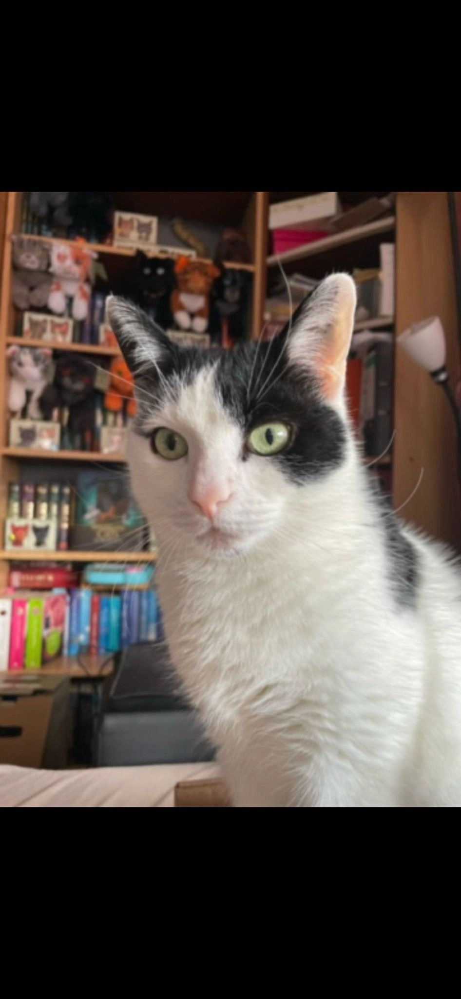 Boris  - Lukas-Moser-Weg, Remchingen