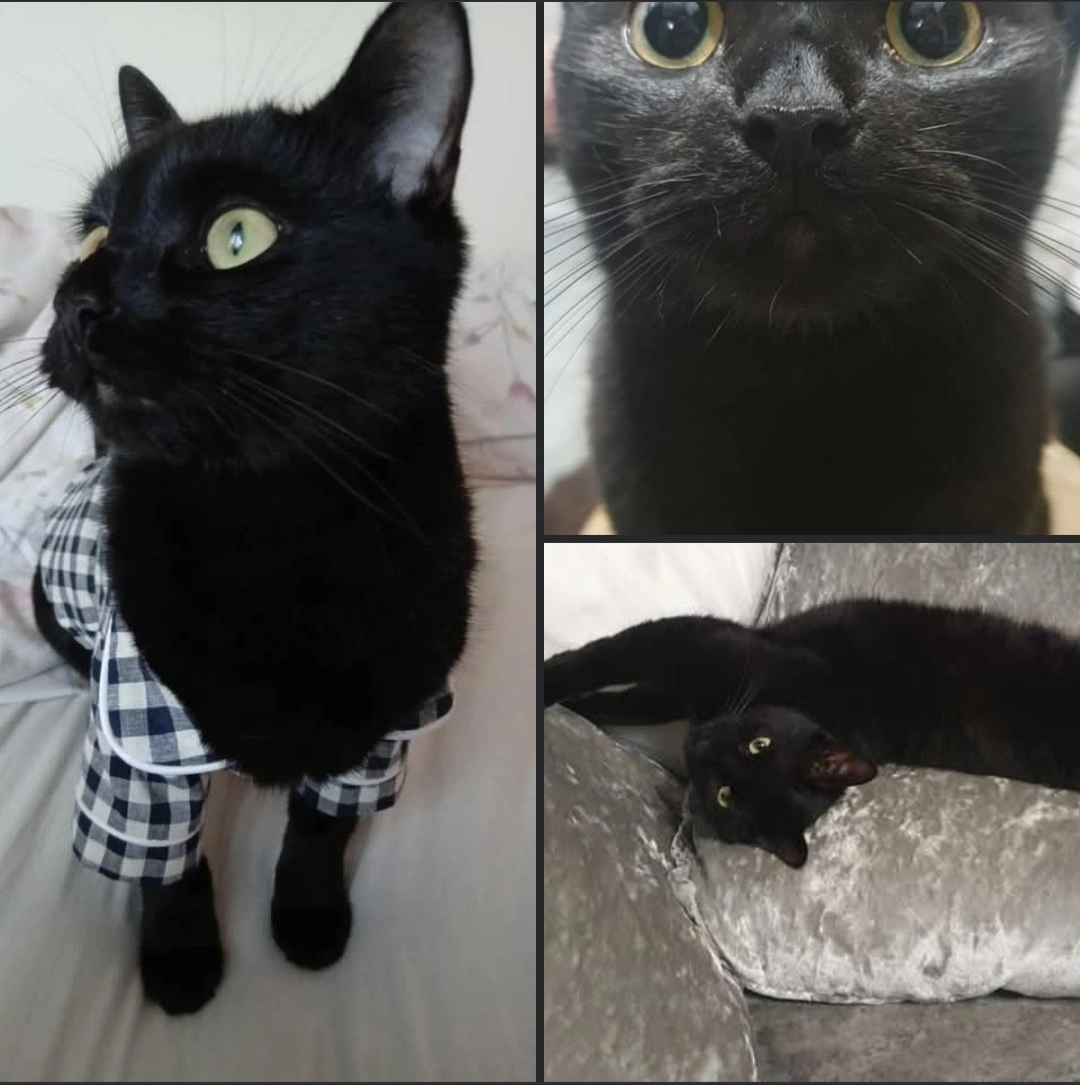 Max - NR5 8, Norwich