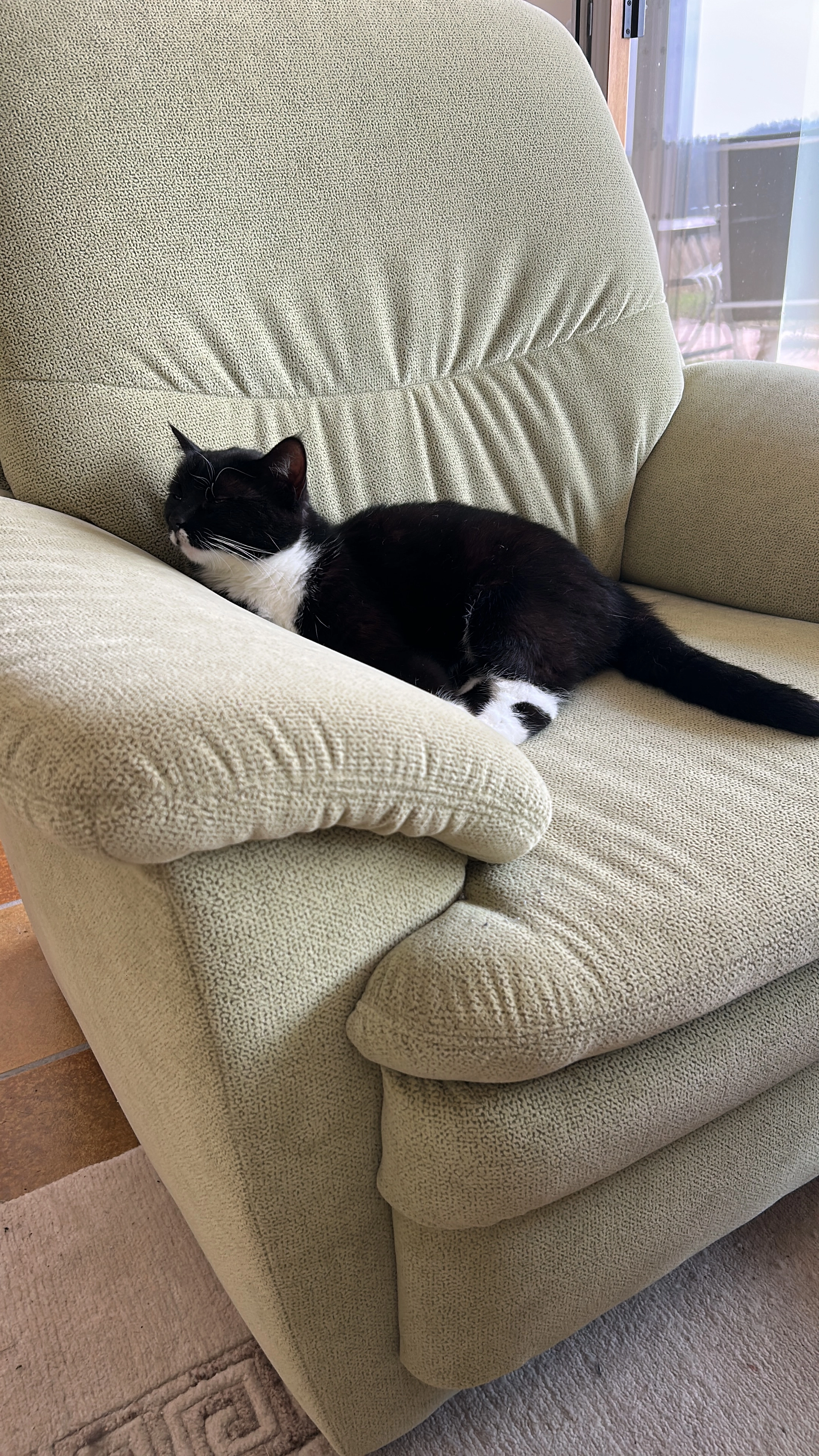 Frieda - Zur Schieferleite, Berg