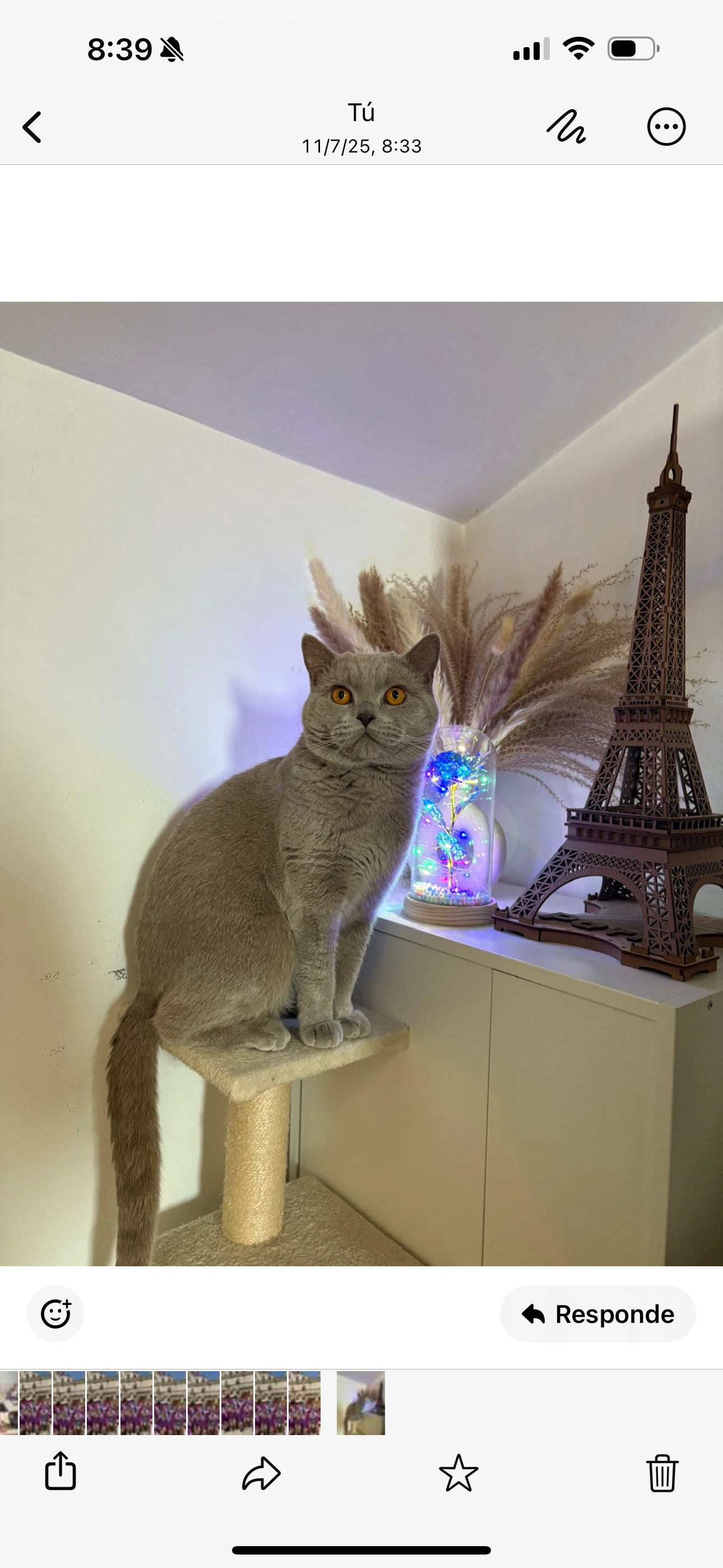 Azul - Calle de San Francisco, Iglesia San Gil, Burgos