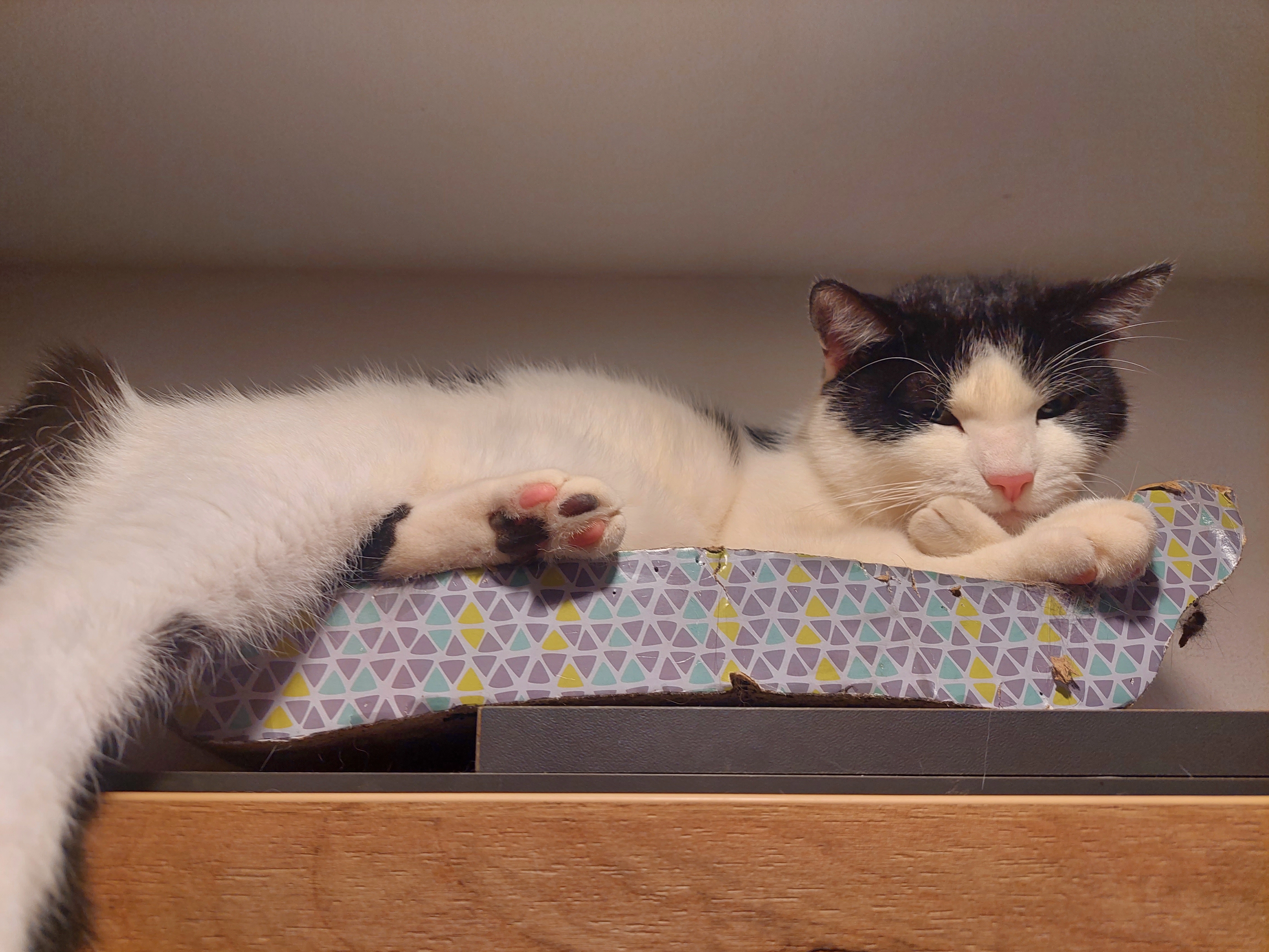 Junior - Dantersdorfer Weg, Velburg