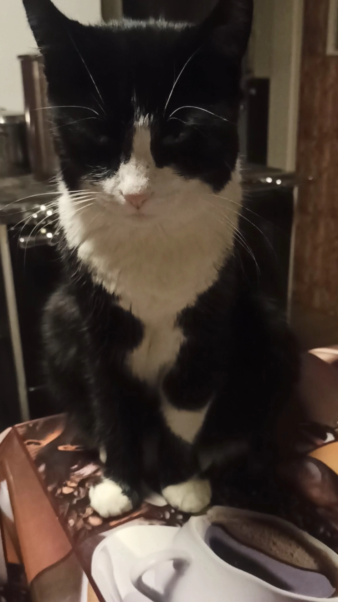 Mia - 97834, Birkenfeld