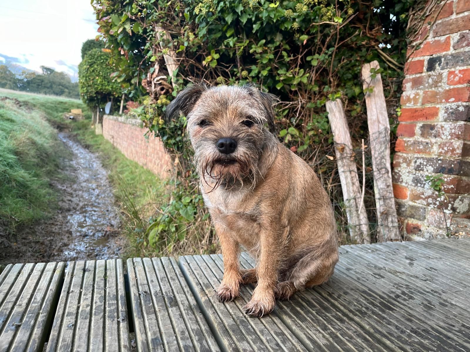 Luna - Queen's Crescent, Eastbourne